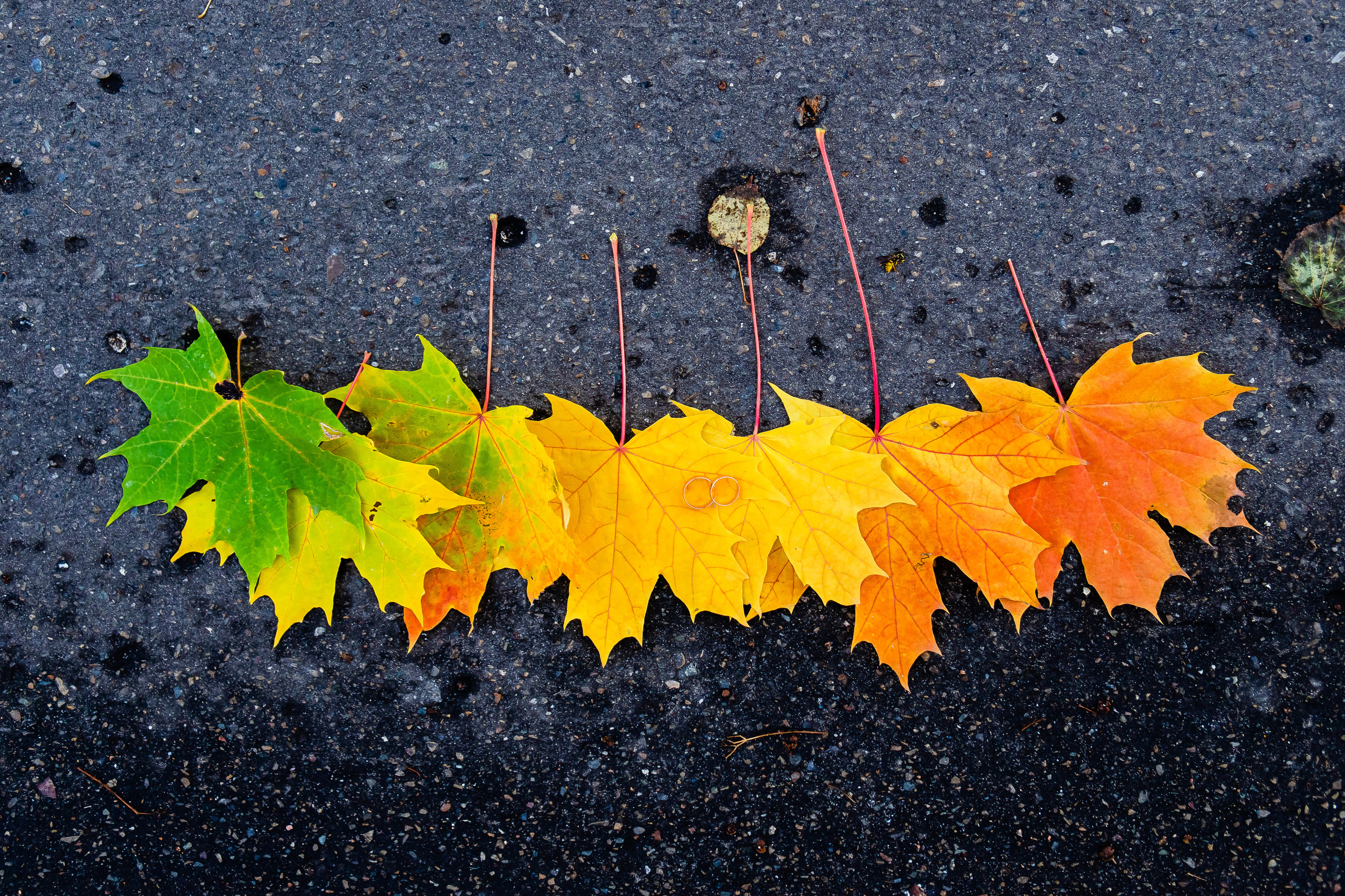 Екатерина и Владимир. Семейный и свадебный фотограф в Чебоксарах и Новочебоксарске Ирина Юрь