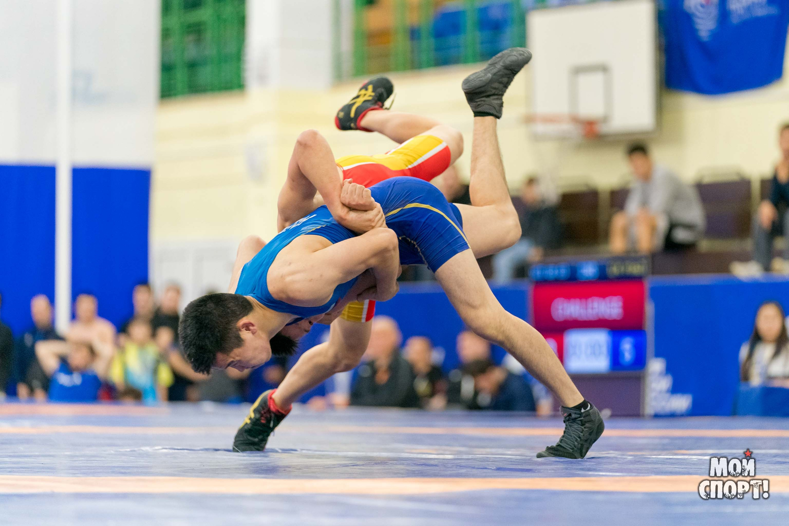 Чемпионат России среди студентов по спортивной борьбе 2024. ГРБ. Студия «Мой Спорт!» — все о спорте в Якутии