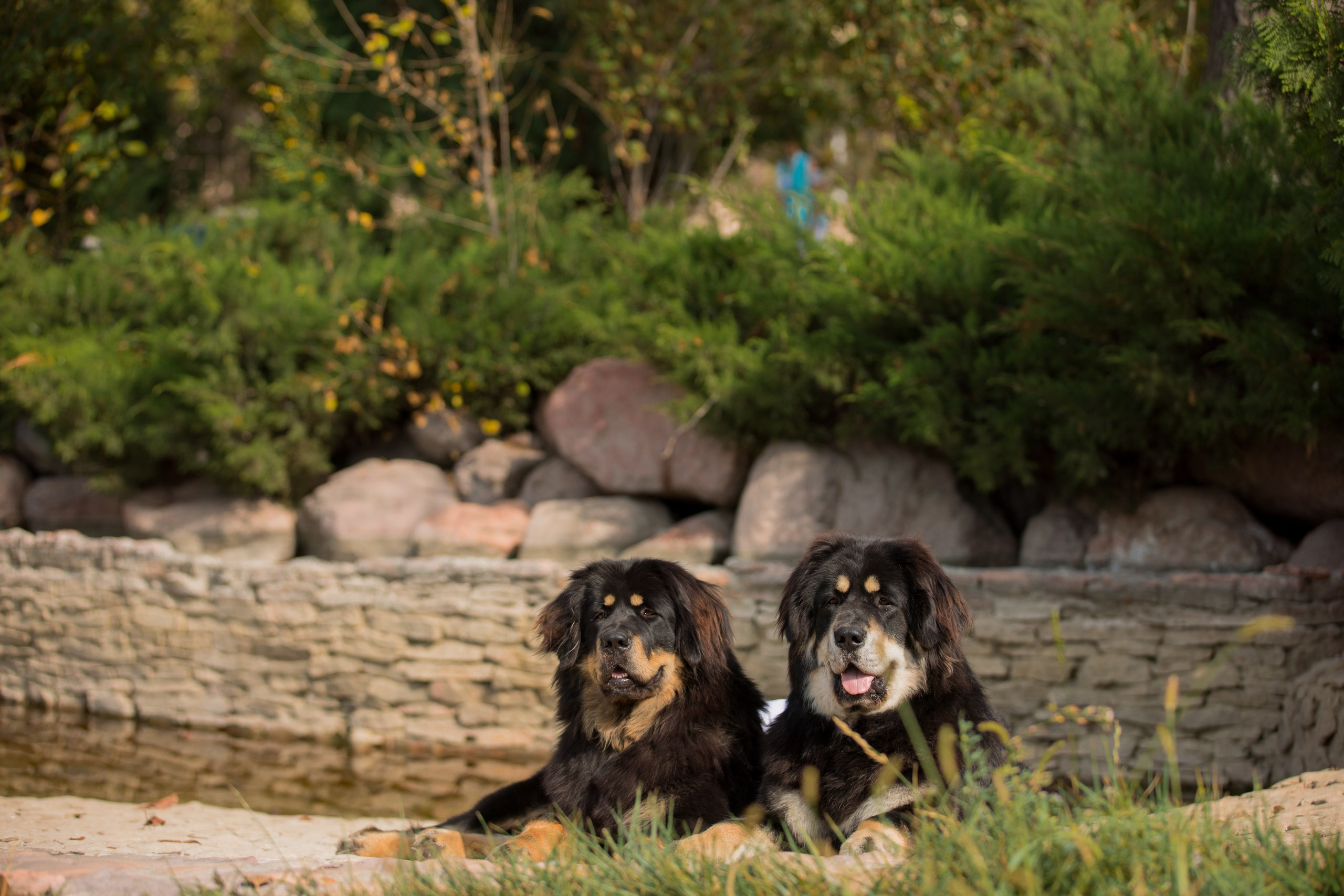 Ташкент 6-8.10.2023 + Алматы 14-15.10.2023. Фотограф-анималист Юлия Германика