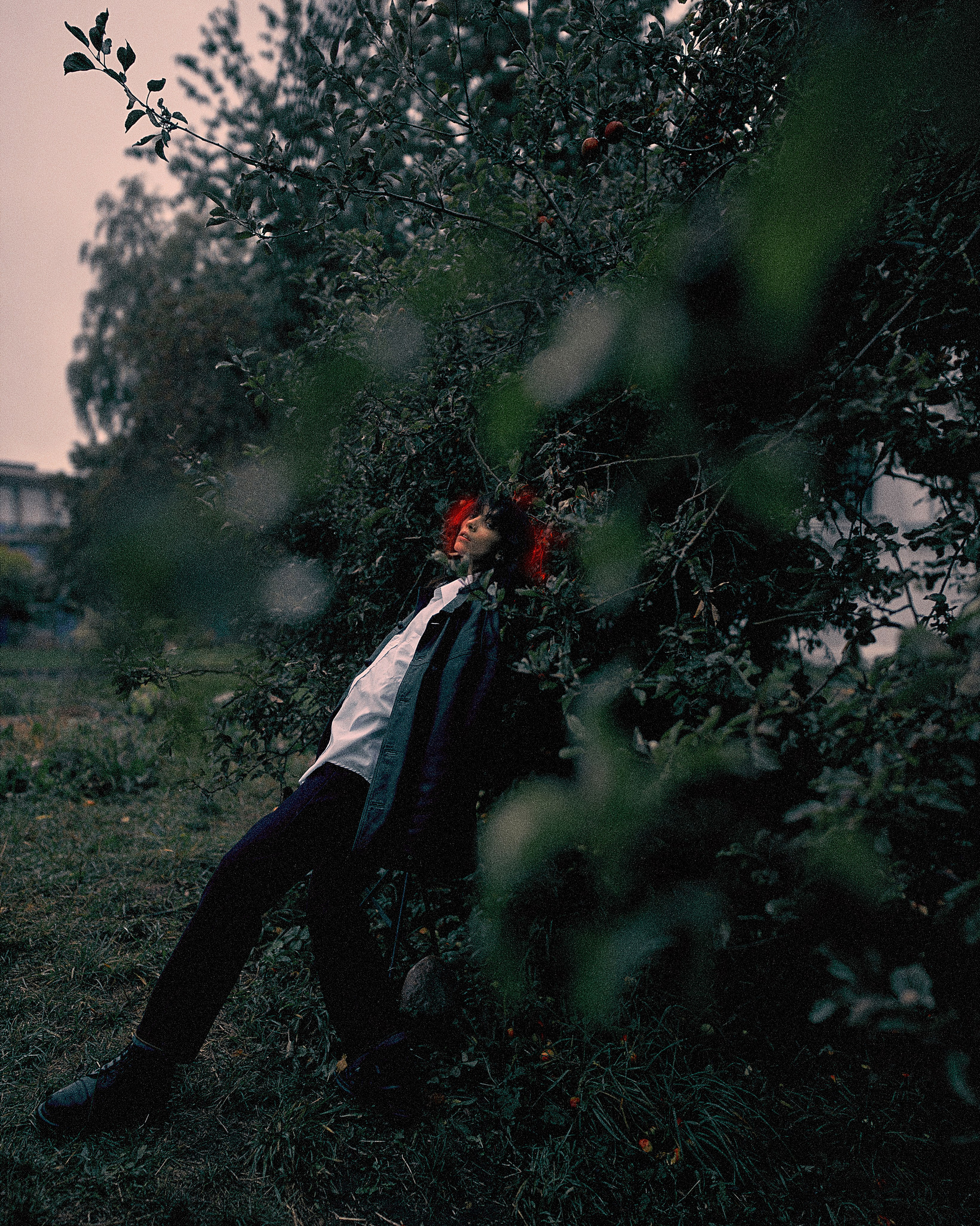 Дина в яблонях. Антон Арнольд | Фотограф Минск