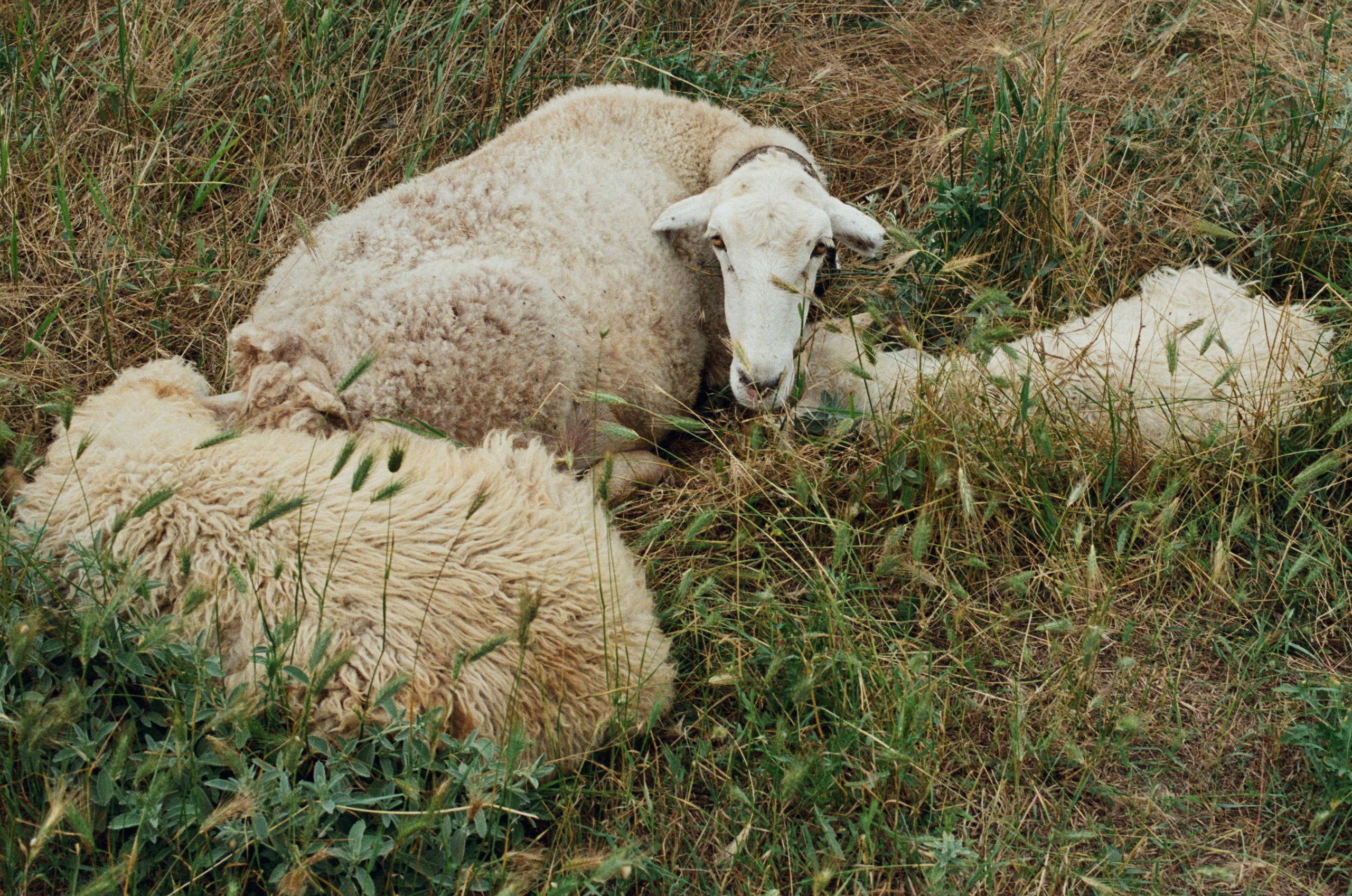 This time // ukraine, crimea V. EVER EXPOSED