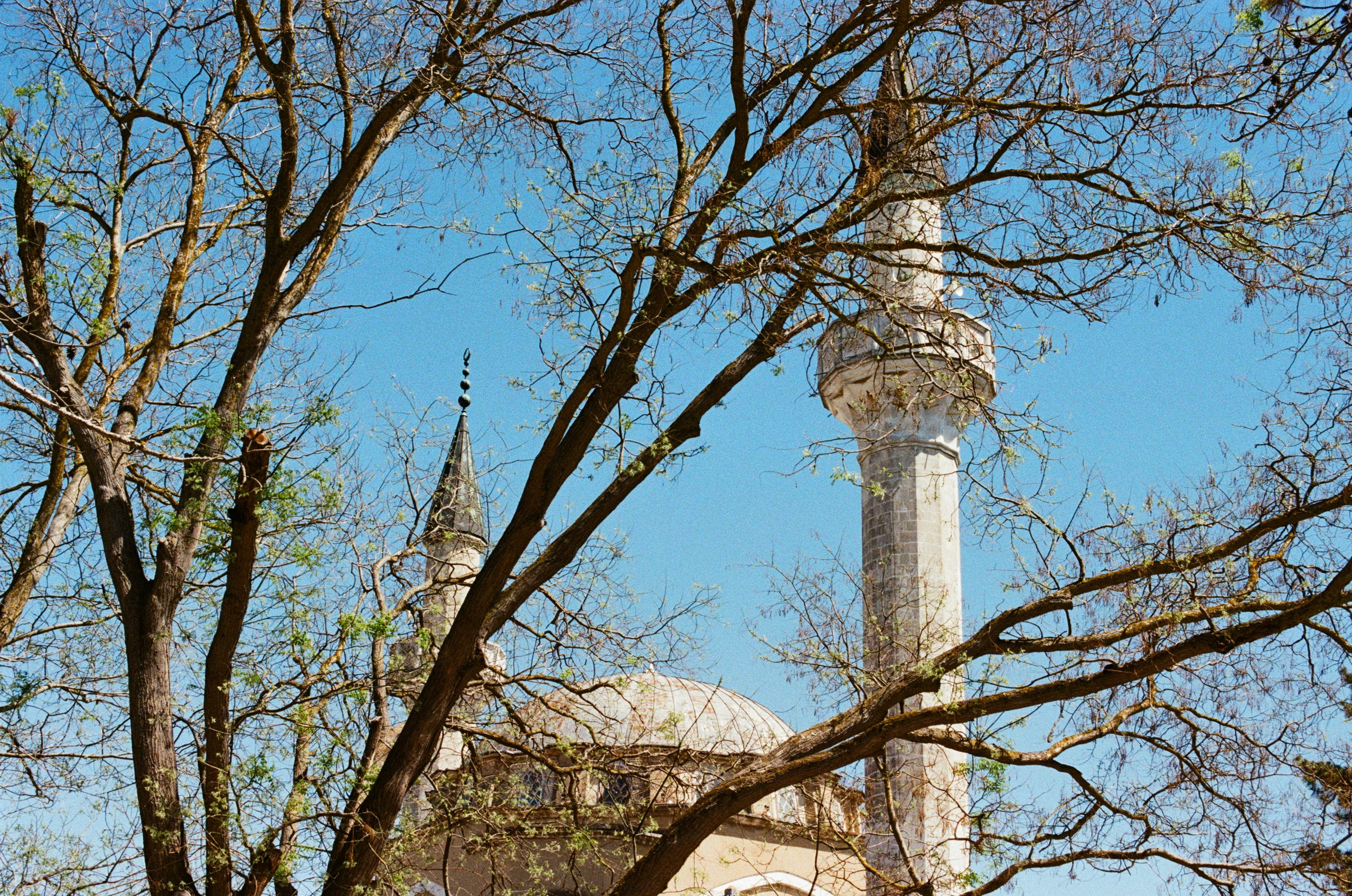 Press enter to exit // ukraine, crimea IX. EVER EXPOSED