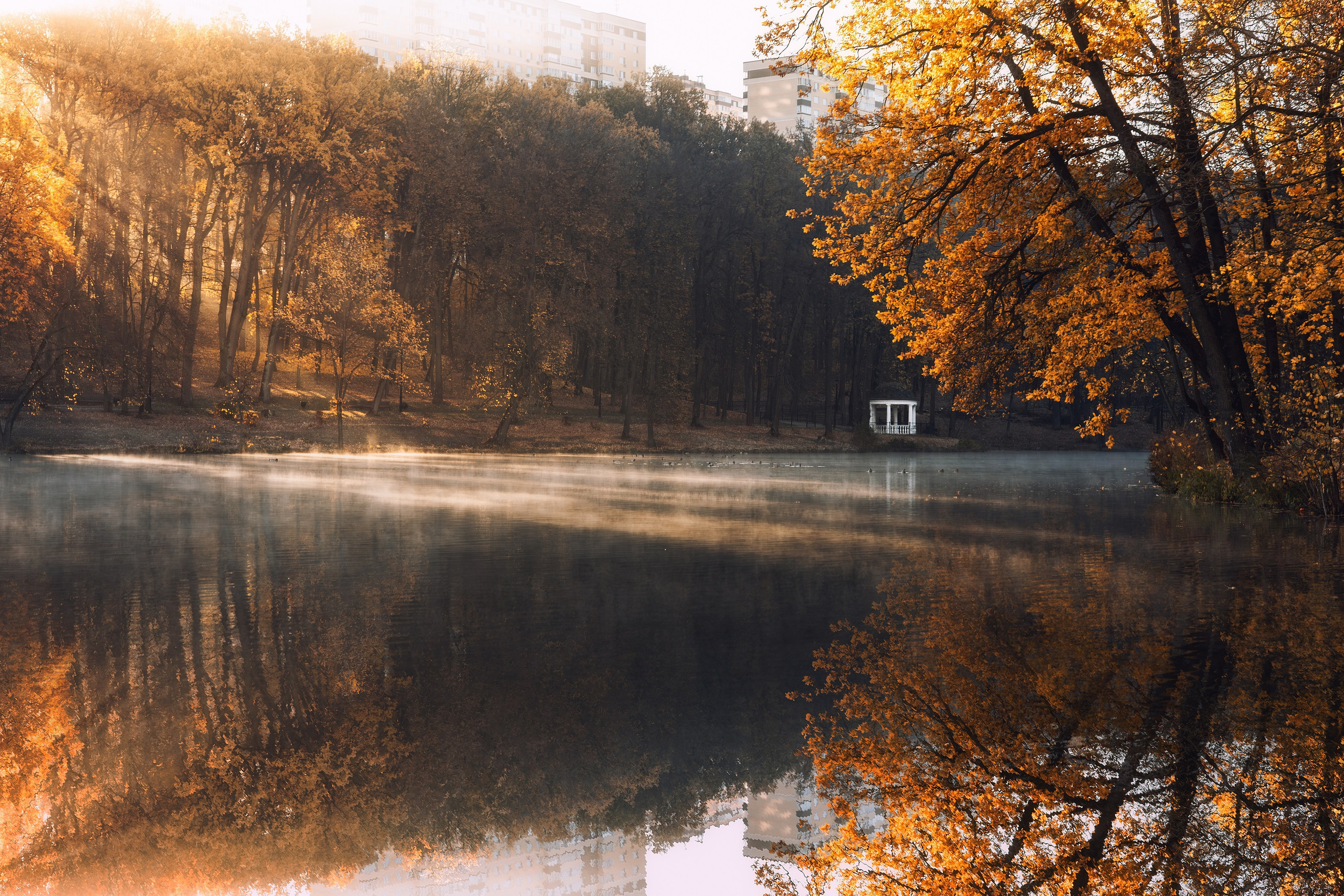 Платовский парк. Николай Брытков — фотограф в Туле