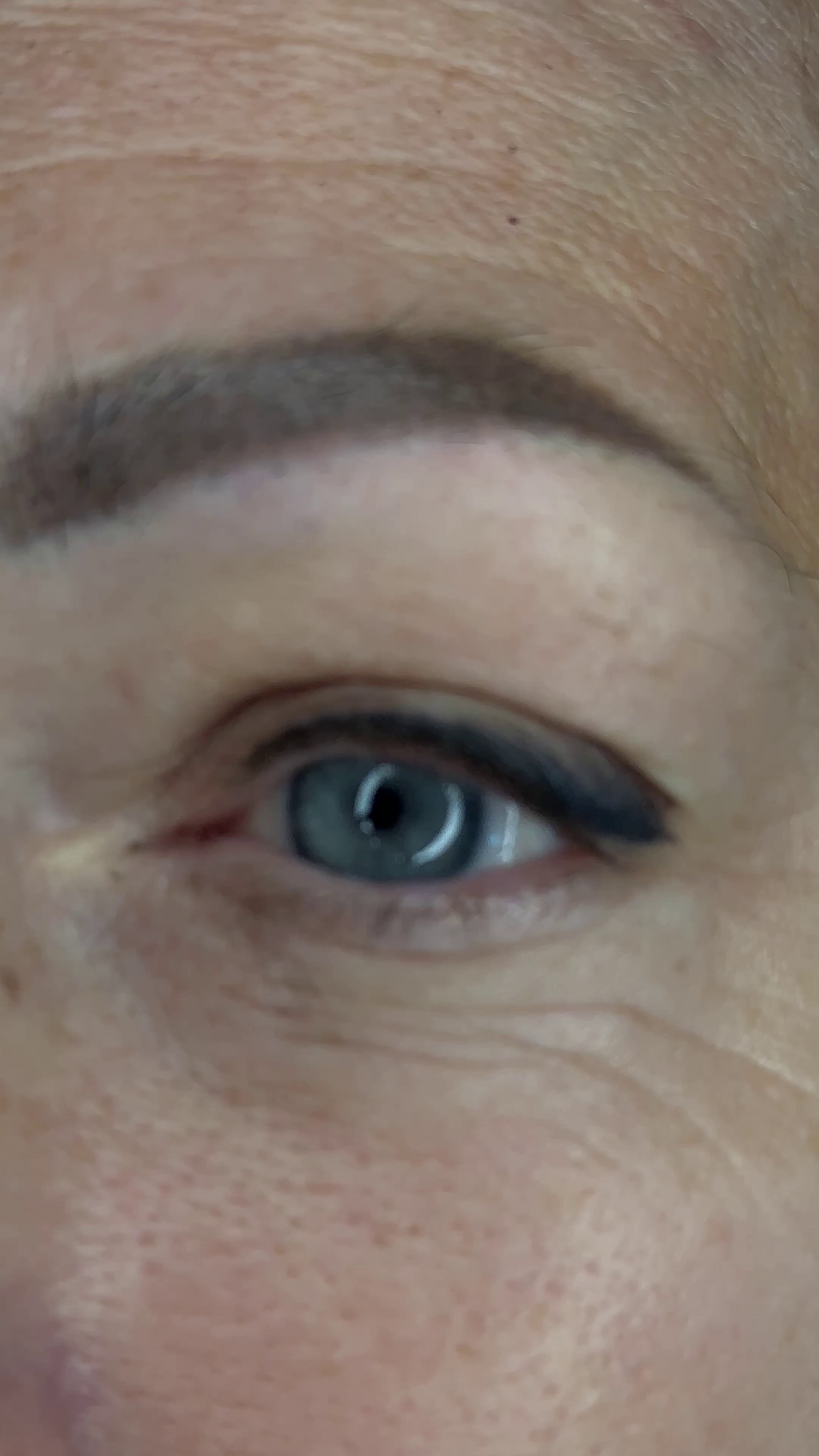 Перманентный макияж. Перманент PigmentLab Olga