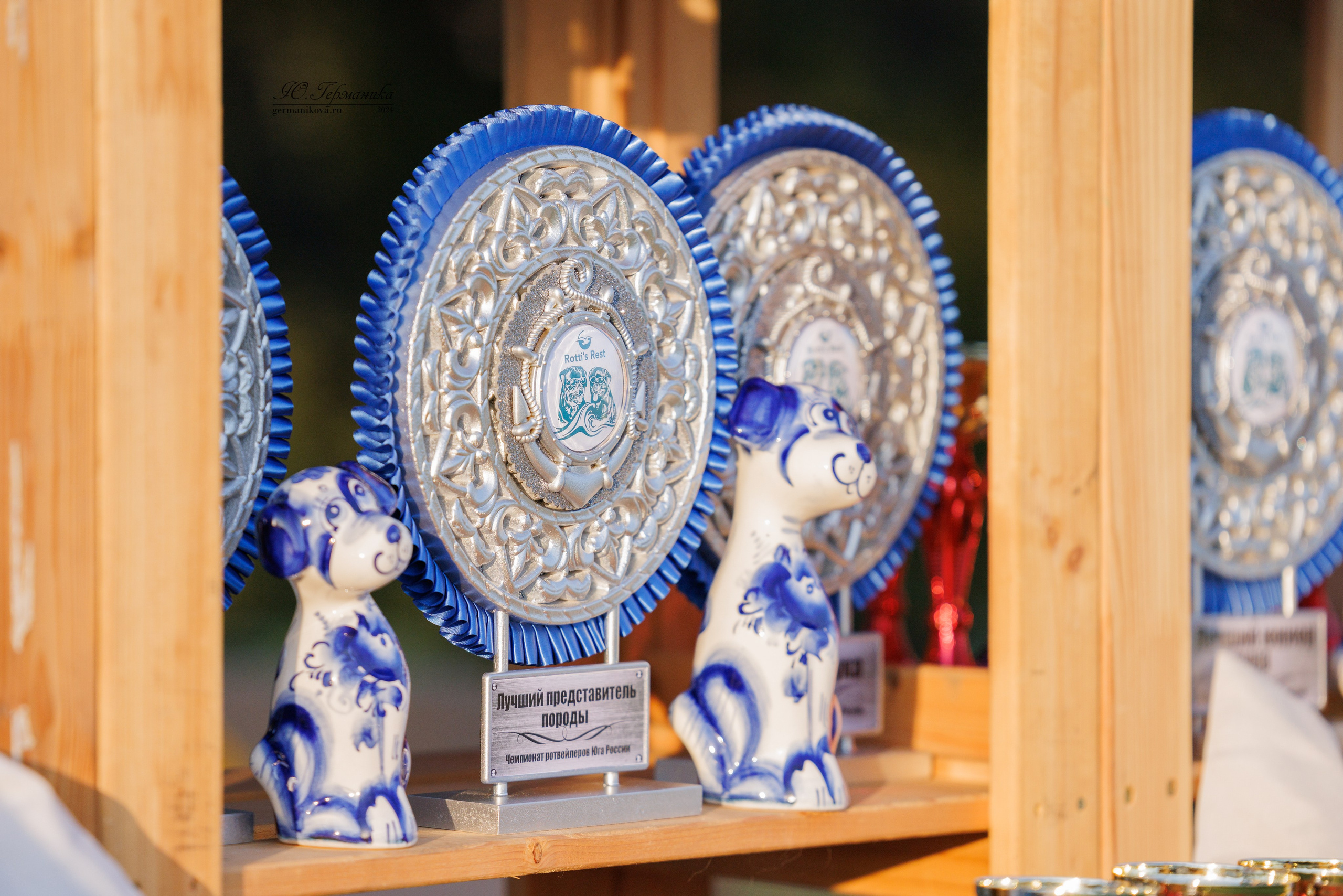 Анапа ротвейлеры 14-15.09.2024. Фотограф-анималист Юлия Германика