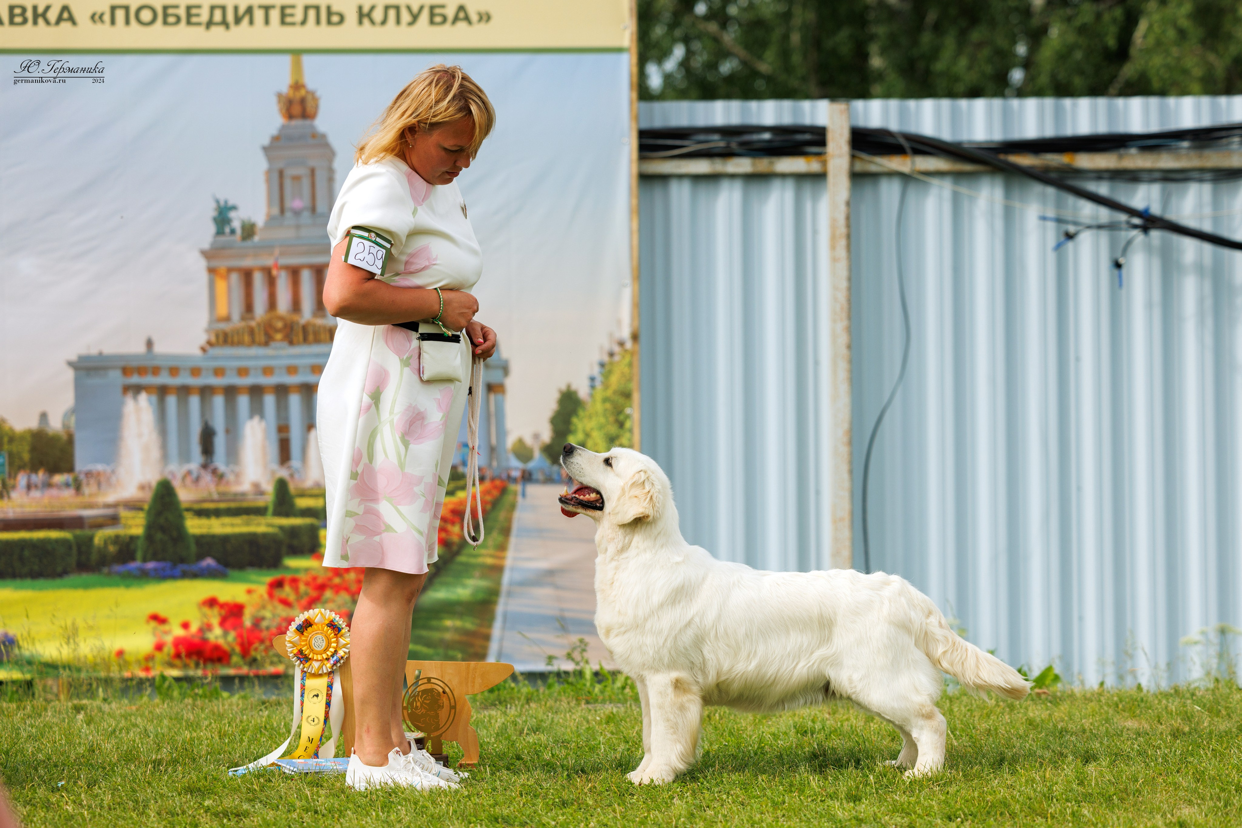 Голдены 15-16.06.2024. Фотограф-анималист Юлия Германика