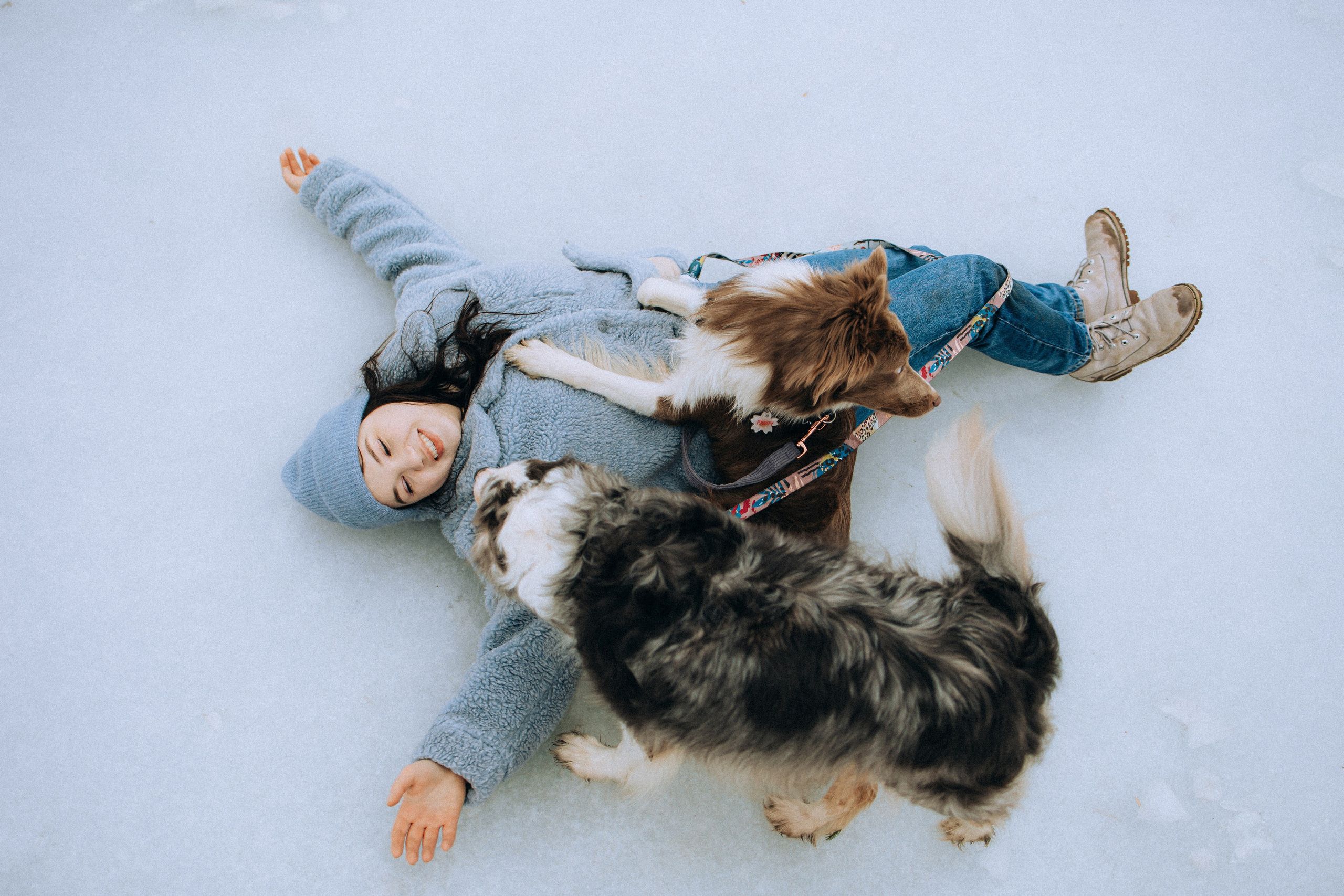 Полина, Милли и Паддингтон