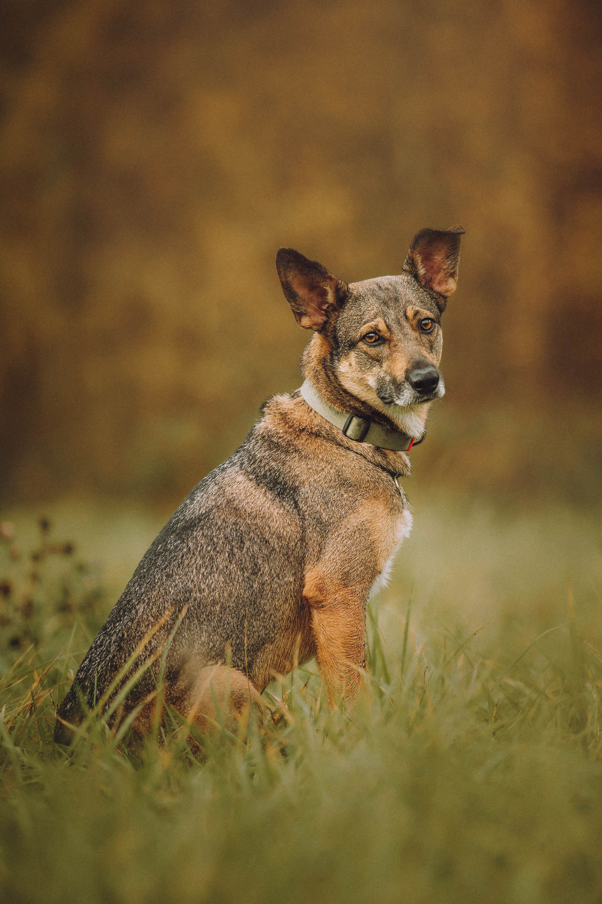 Аня, Нео и Луна
