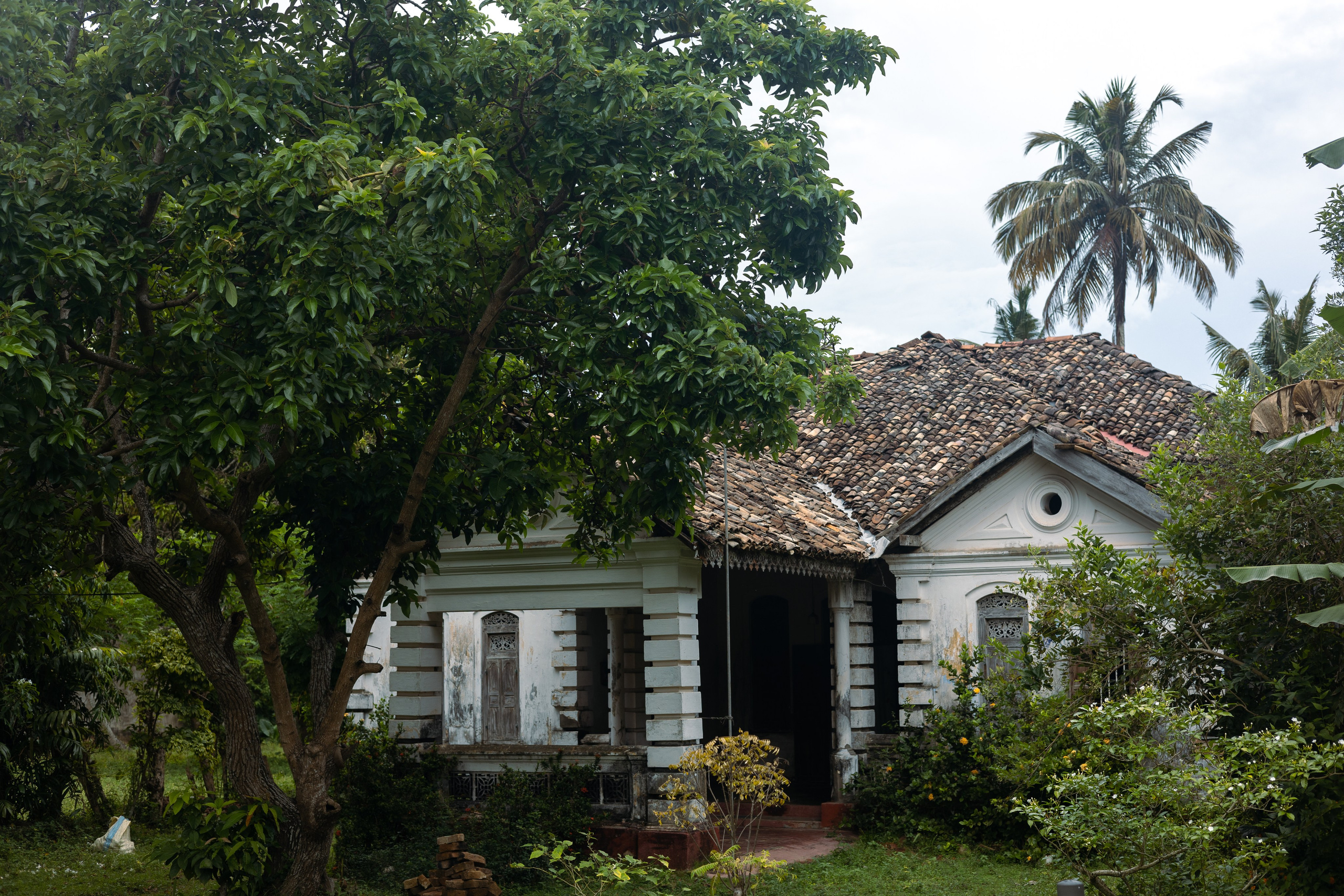 Weligama. Photographer Sonkina Tatiana (Tanya Ash)