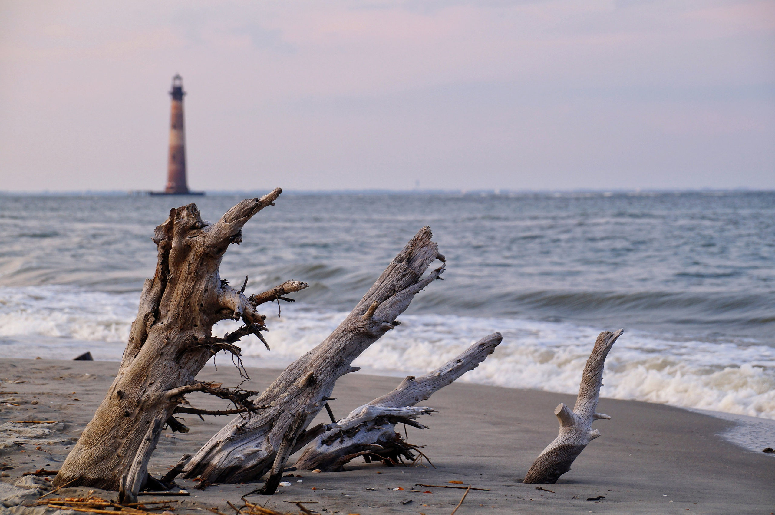 Shore Thing. Мои фото