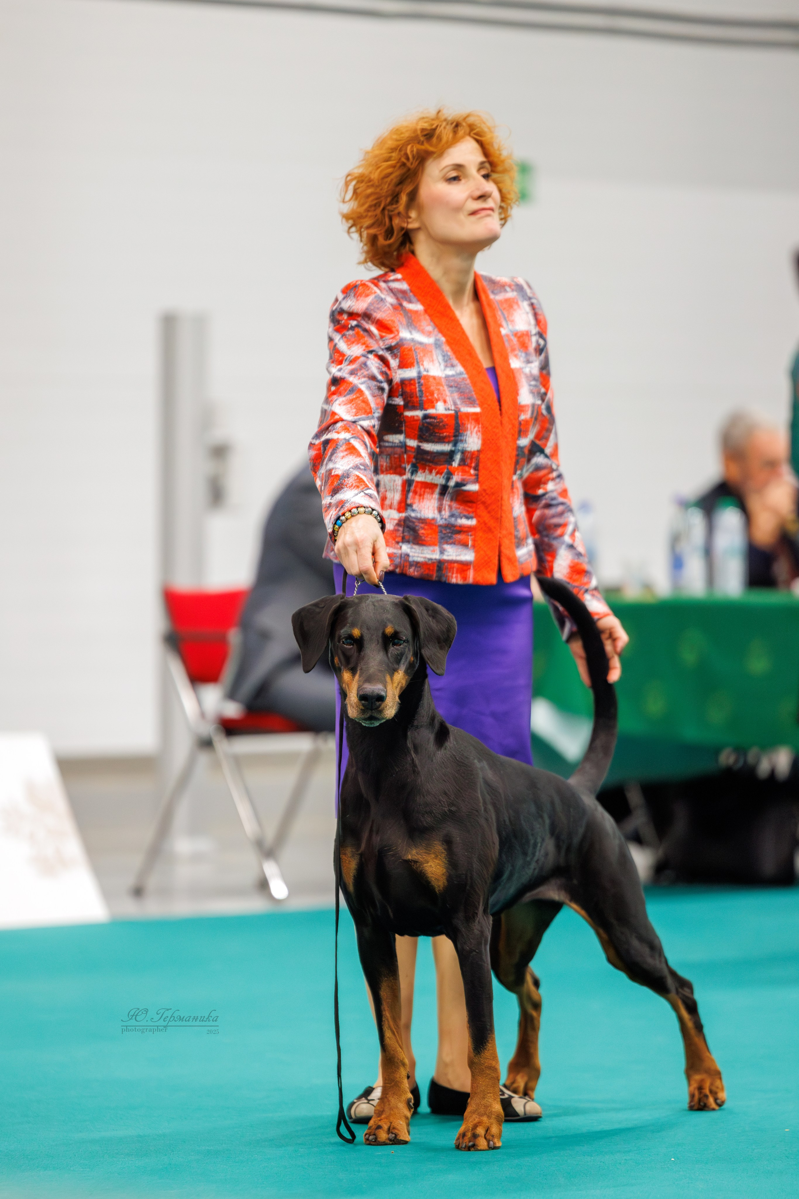 Зилант Казань 29-30.11.2025. Фотограф-анималист Юлия Германика