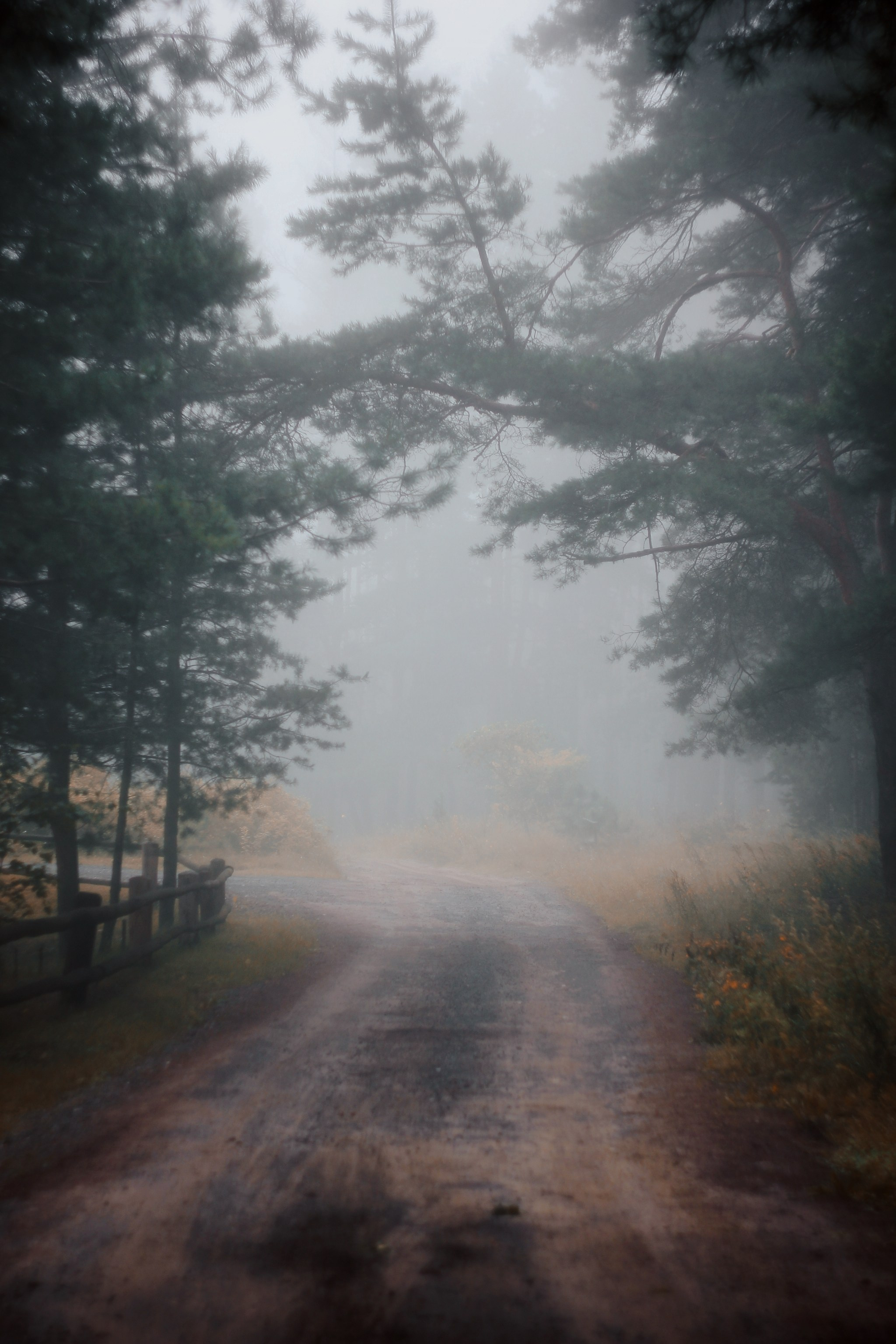 Меланхолия августа. С любовью, фотохудожник