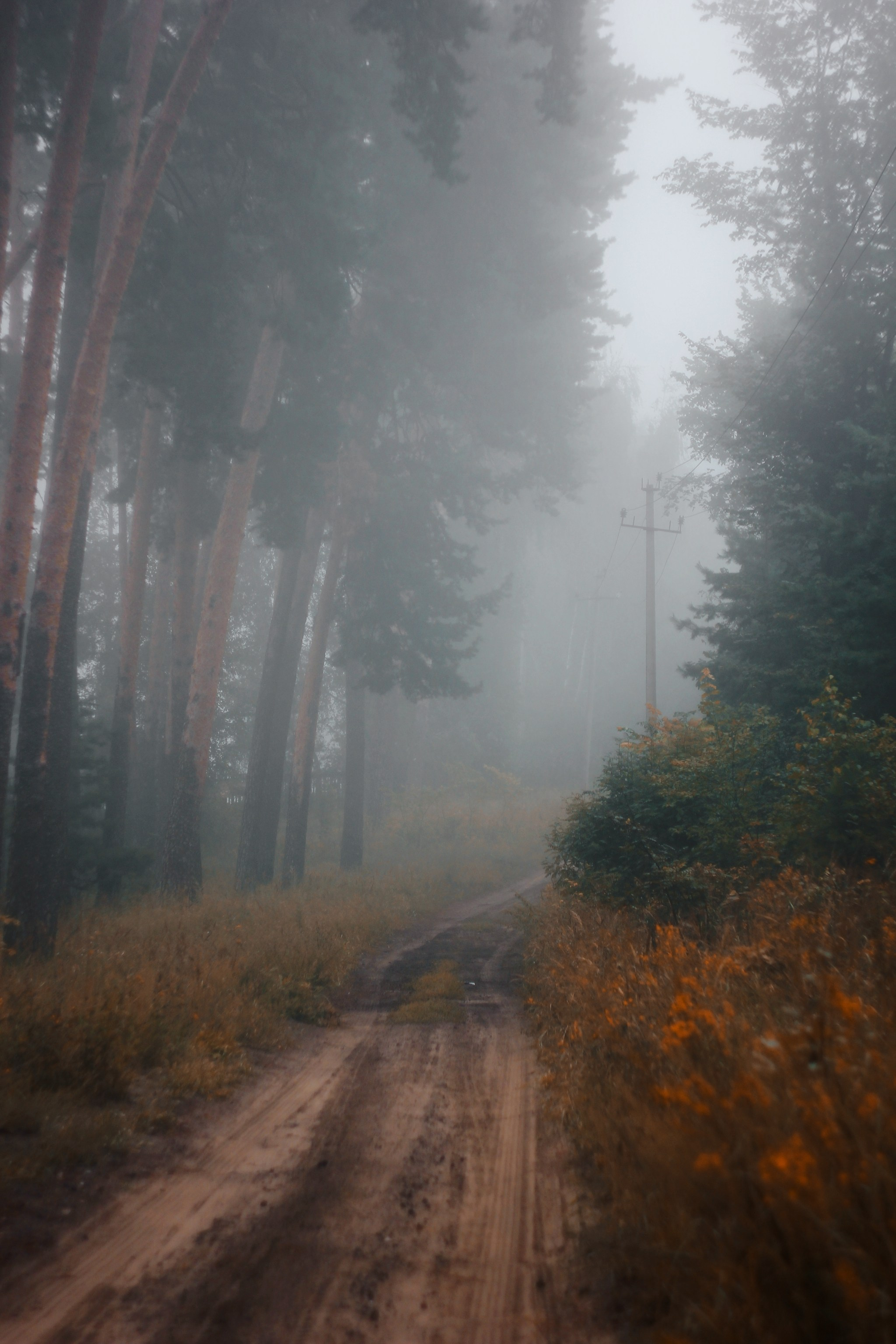Меланхолия августа. С любовью, фотохудожник