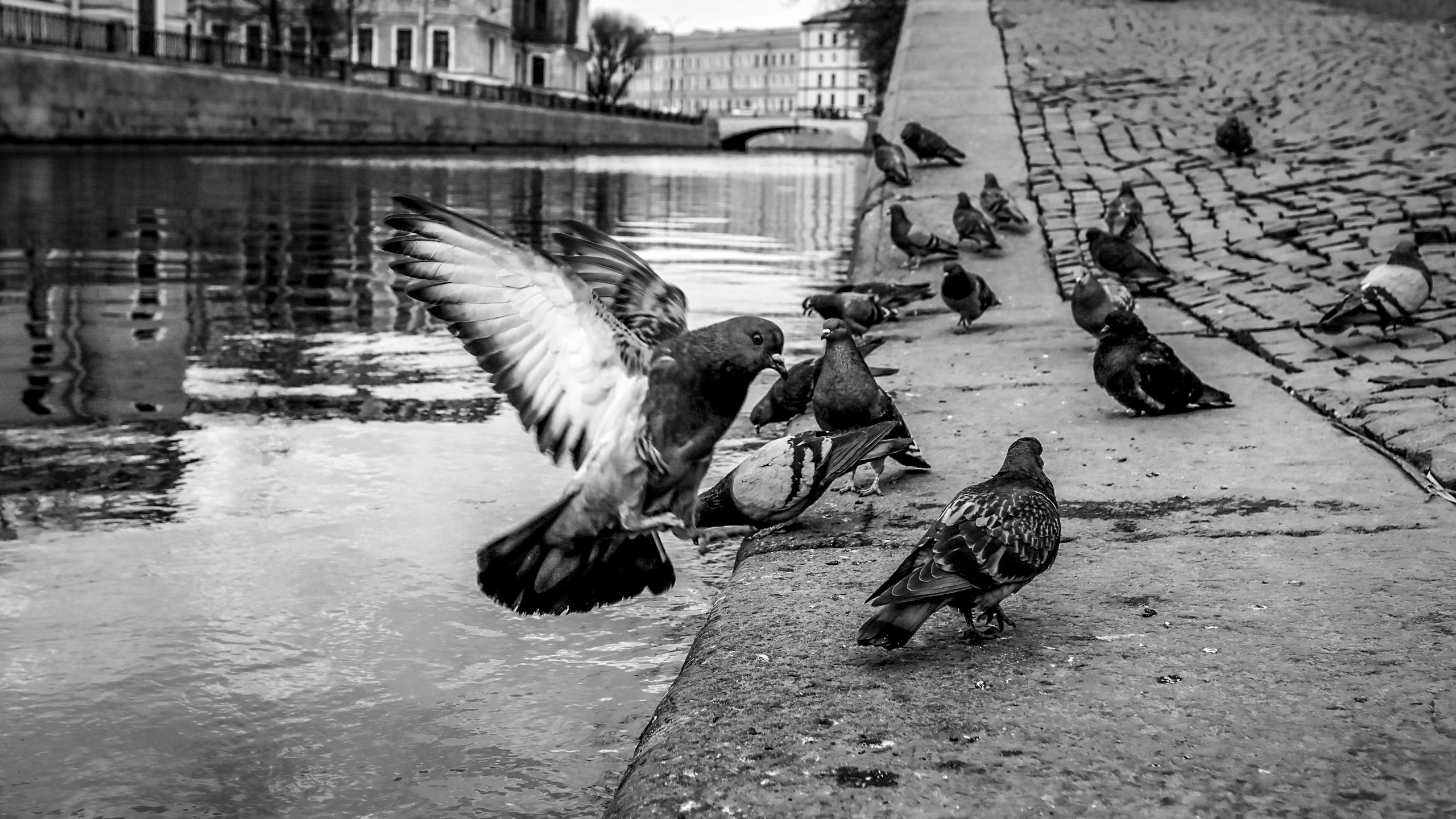 Street/ Architecture. Портрет, семейный и детский фотограф в Архипо-Осиповке Наташа Одинцова