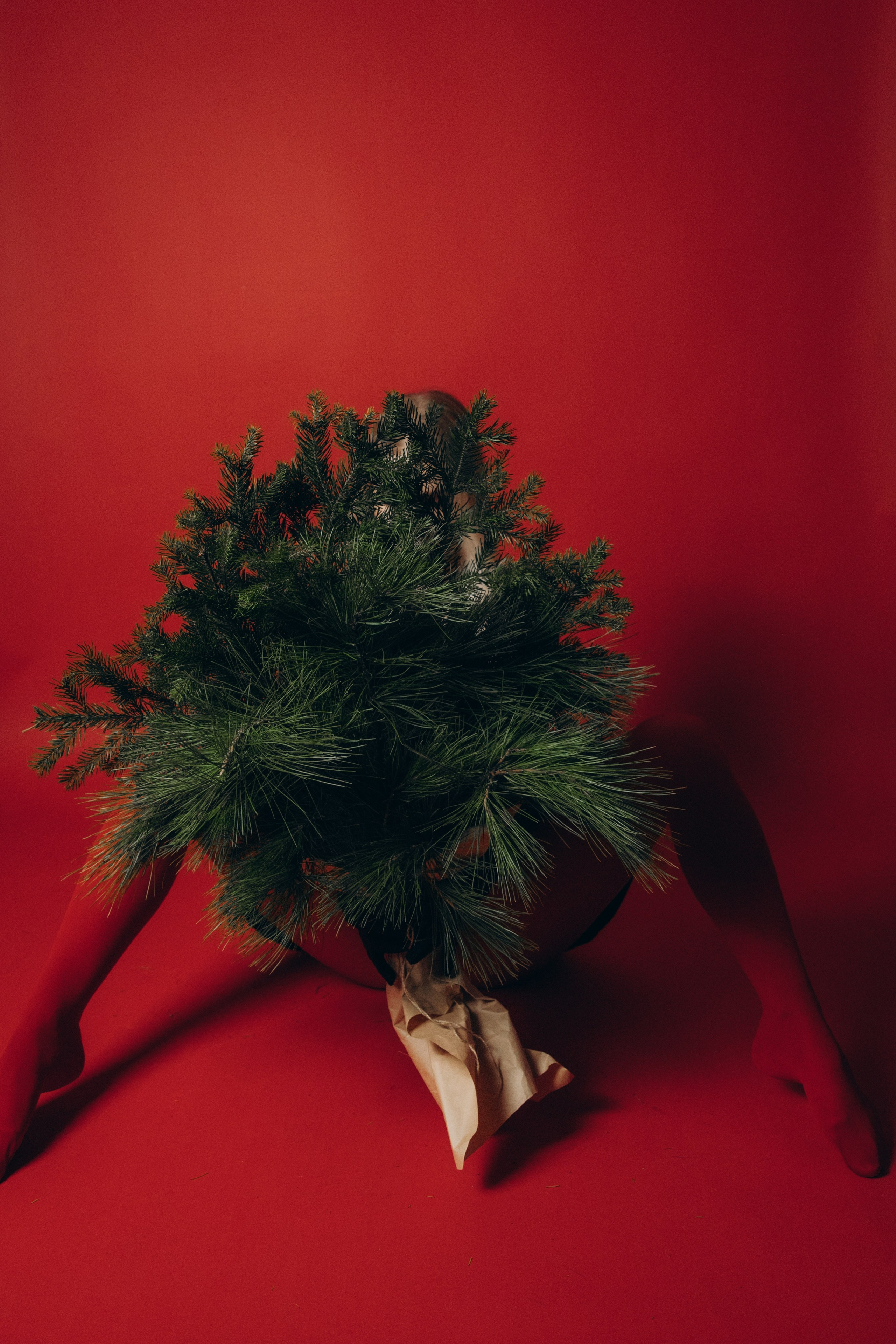 Юлия. Свадебный, семейный фотограф в Иркутске Светлана Макаричева