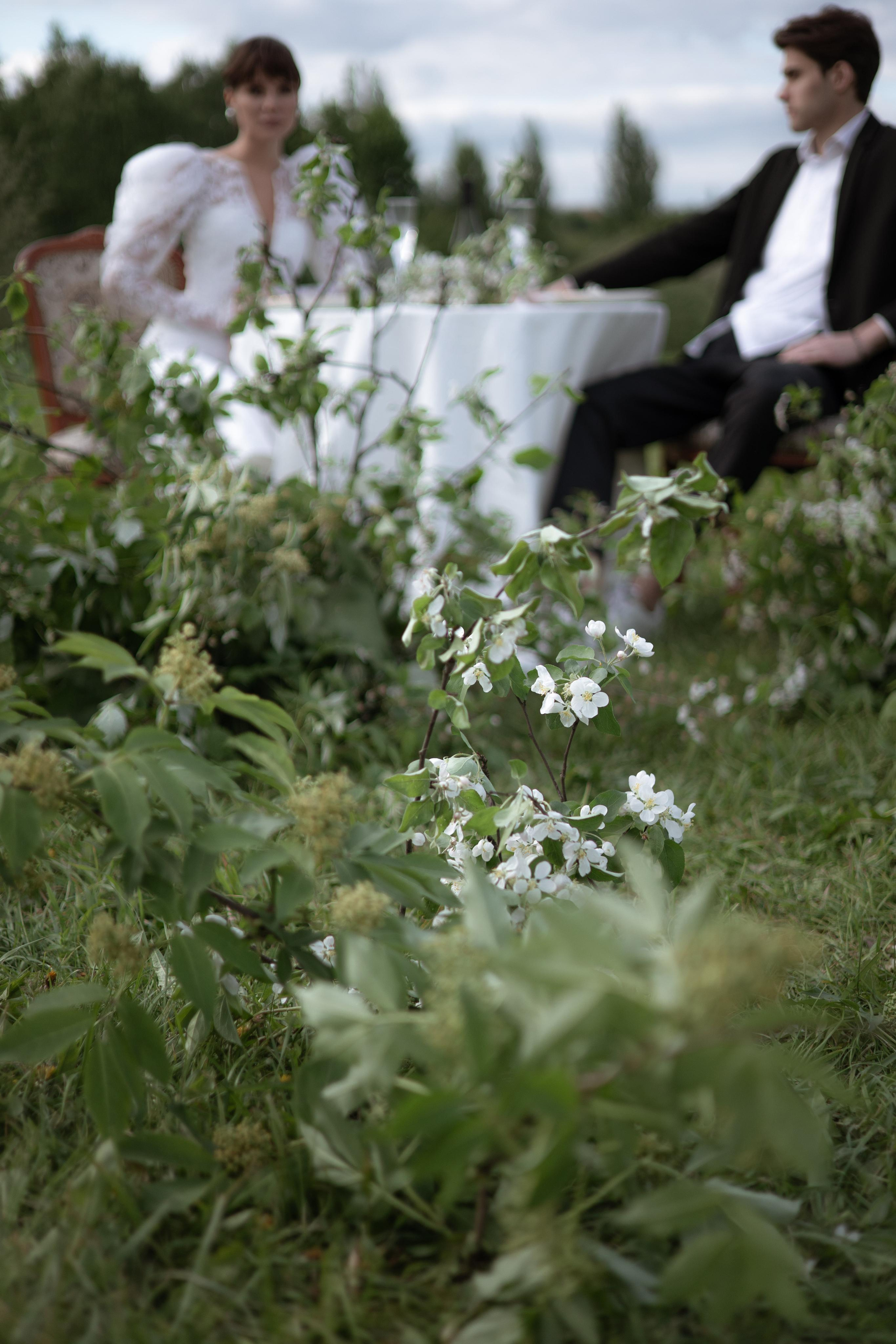 Вика & Дима. Оформление свадеб, декор свадеб Вера Маркова, Москва