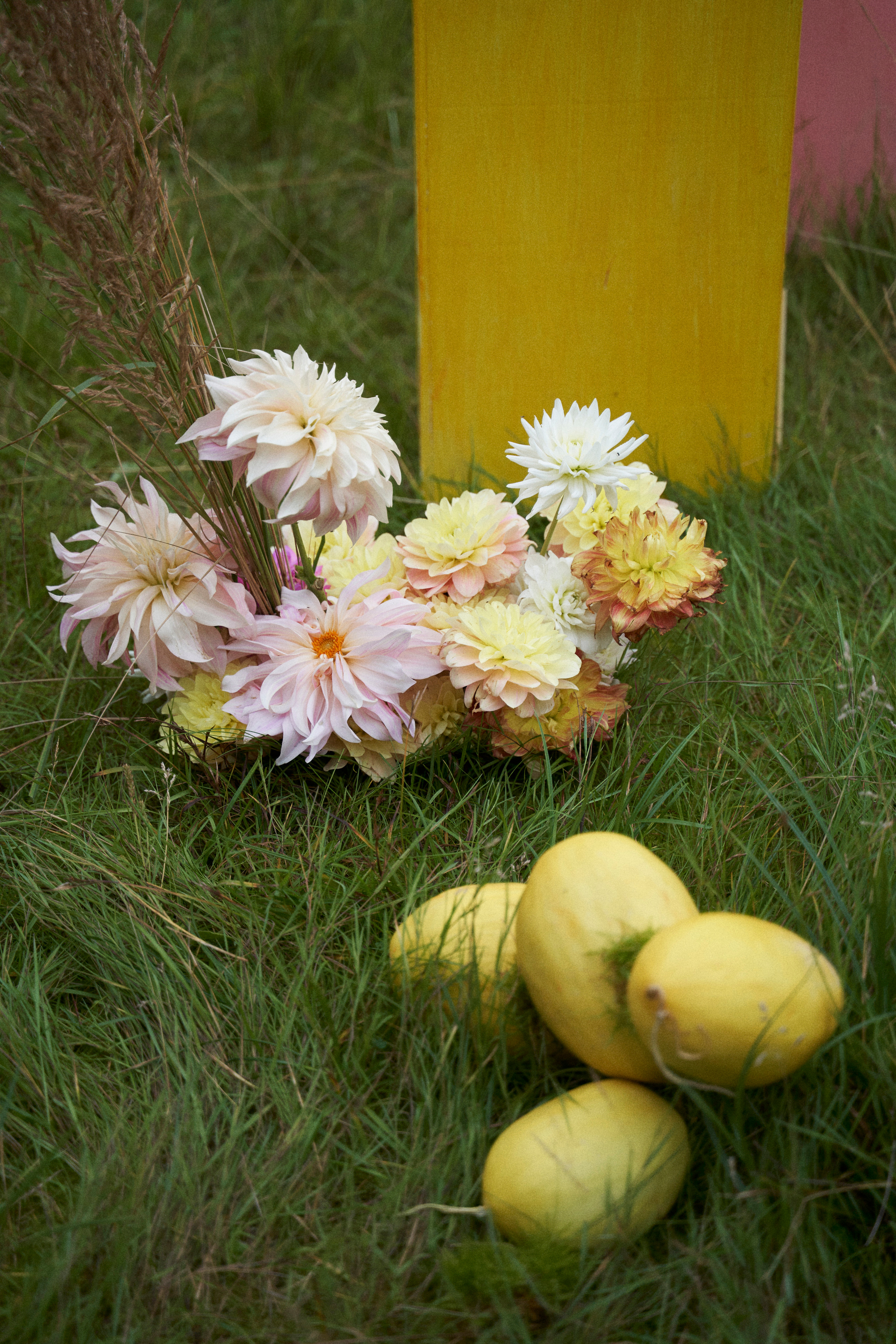 Целеево. Оформление свадеб, декор свадеб Вера Маркова, Москва