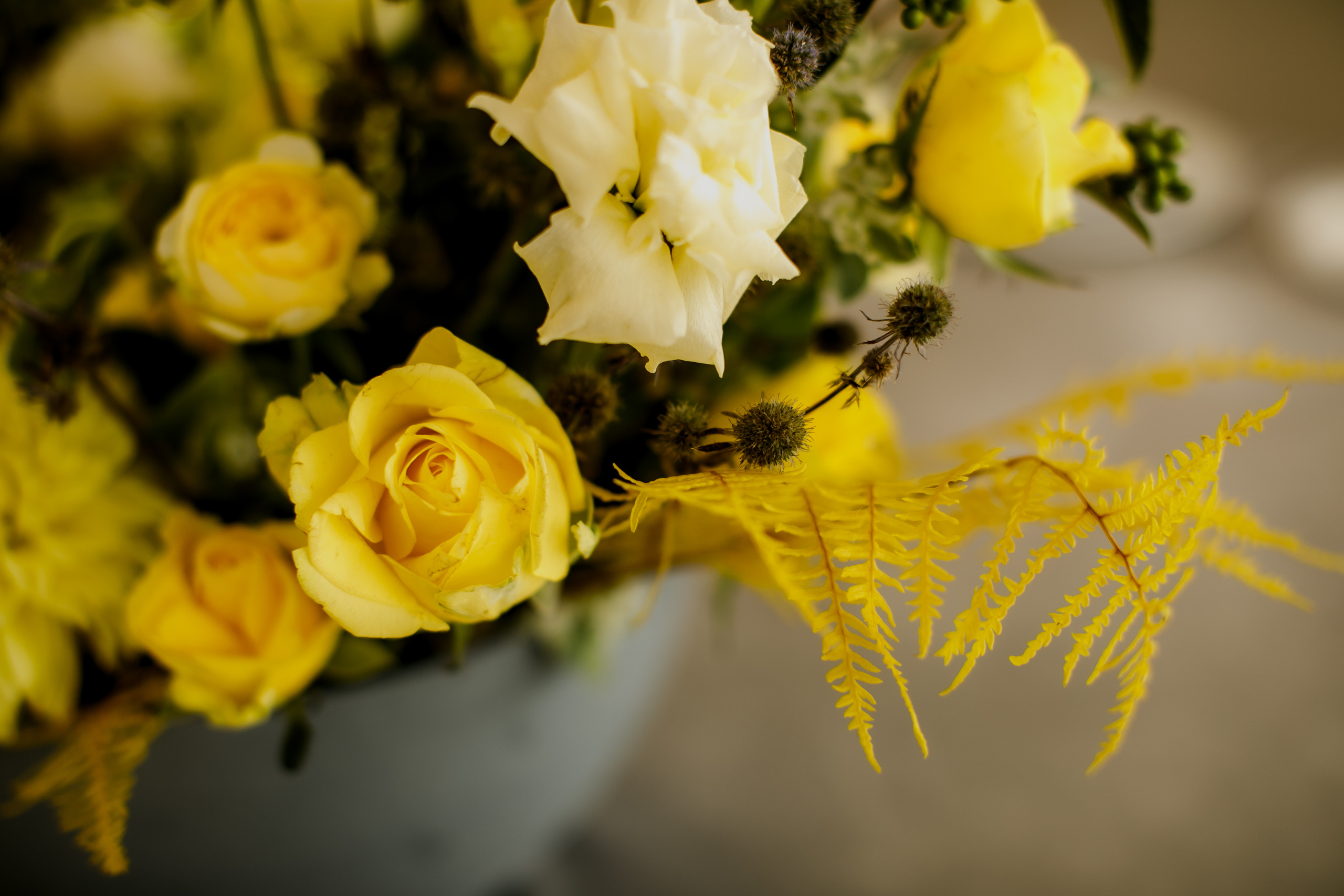 Андрей & Даша. Оформление свадеб, декор свадеб Вера Маркова, Москва