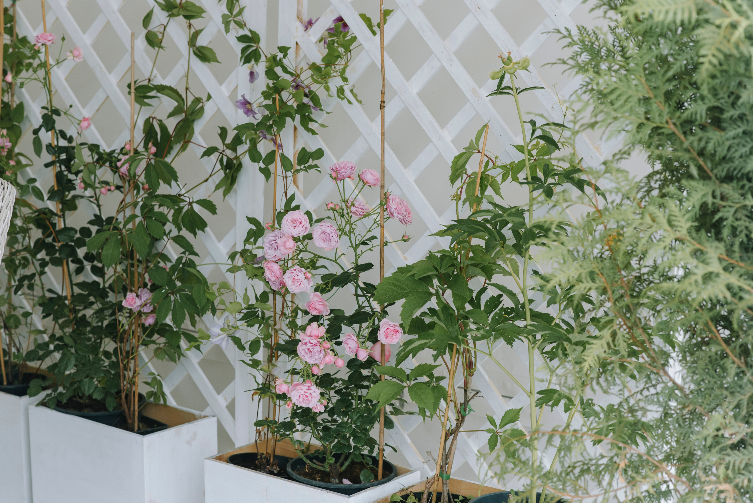 Ресторан Причал. Оформление свадеб, декор свадеб Вера Маркова, Москва