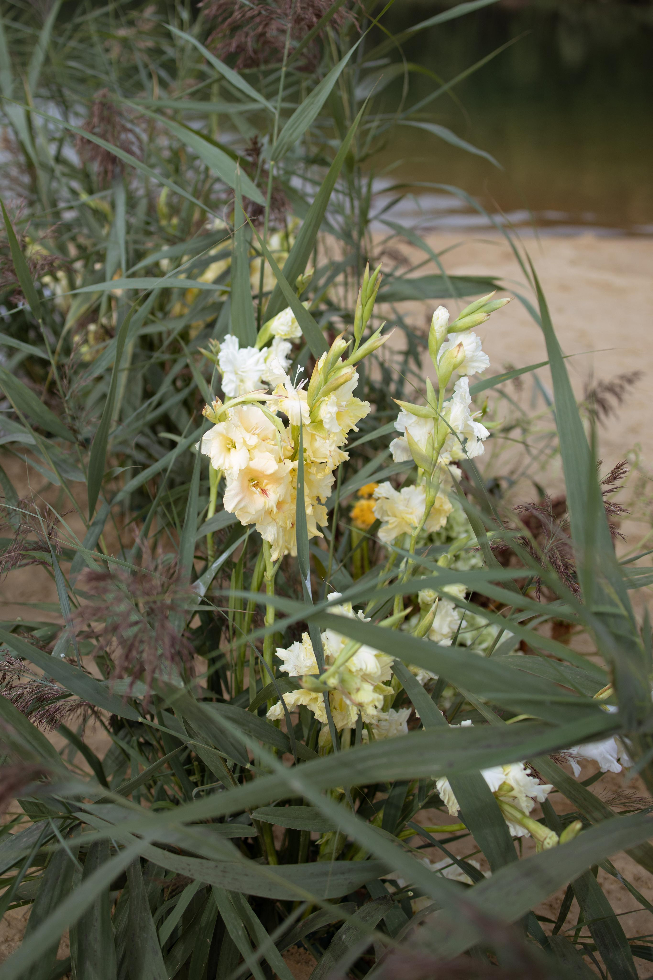 Пляж. Оформление свадеб, декор свадеб Вера Маркова, Москва
