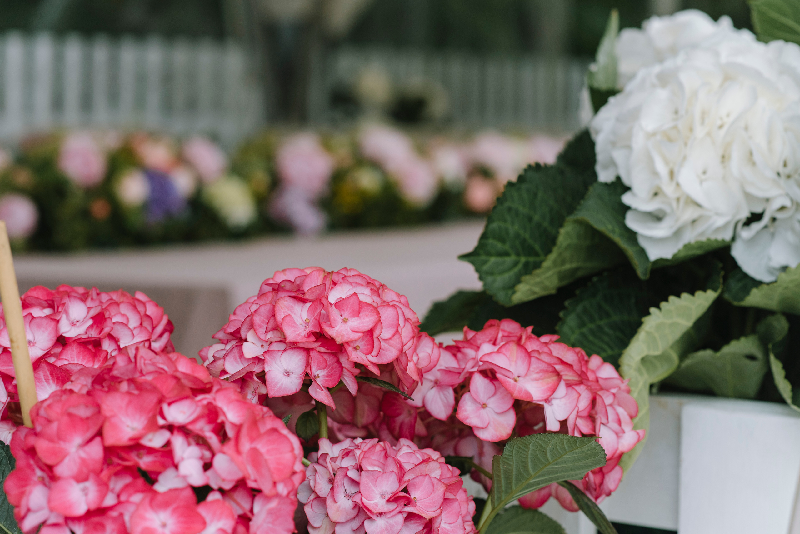 Ресторан Причал. Оформление свадеб, декор свадеб Вера Маркова, Москва