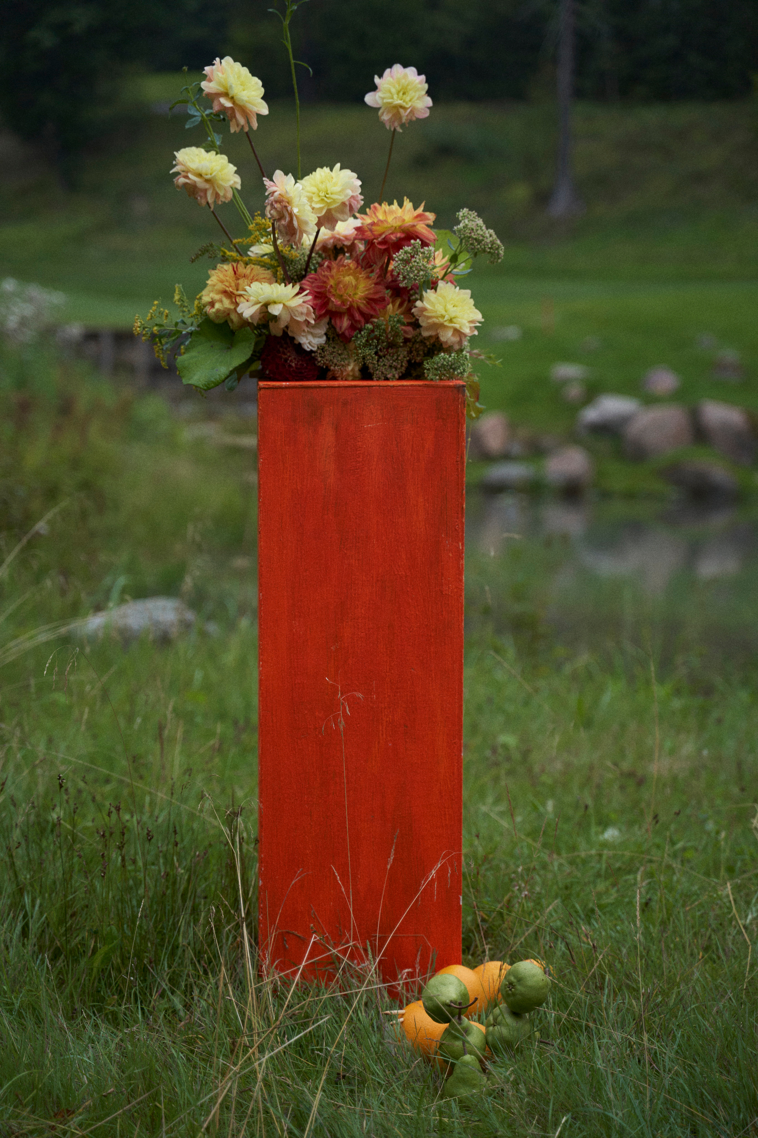 Целеево. Оформление свадеб, декор свадеб Вера Маркова, Москва