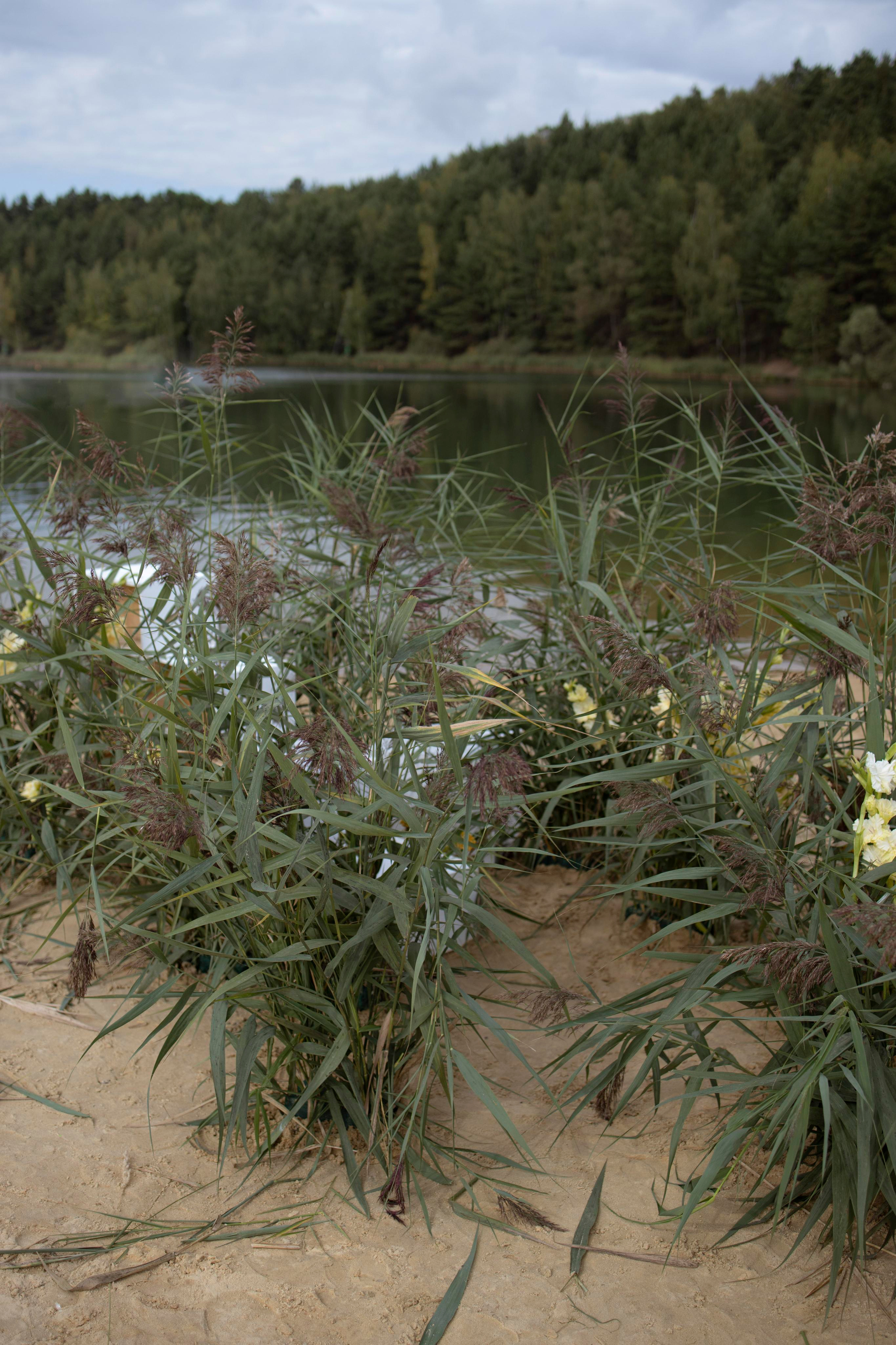 Пляж. Оформление свадеб, декор свадеб Вера Маркова, Москва
