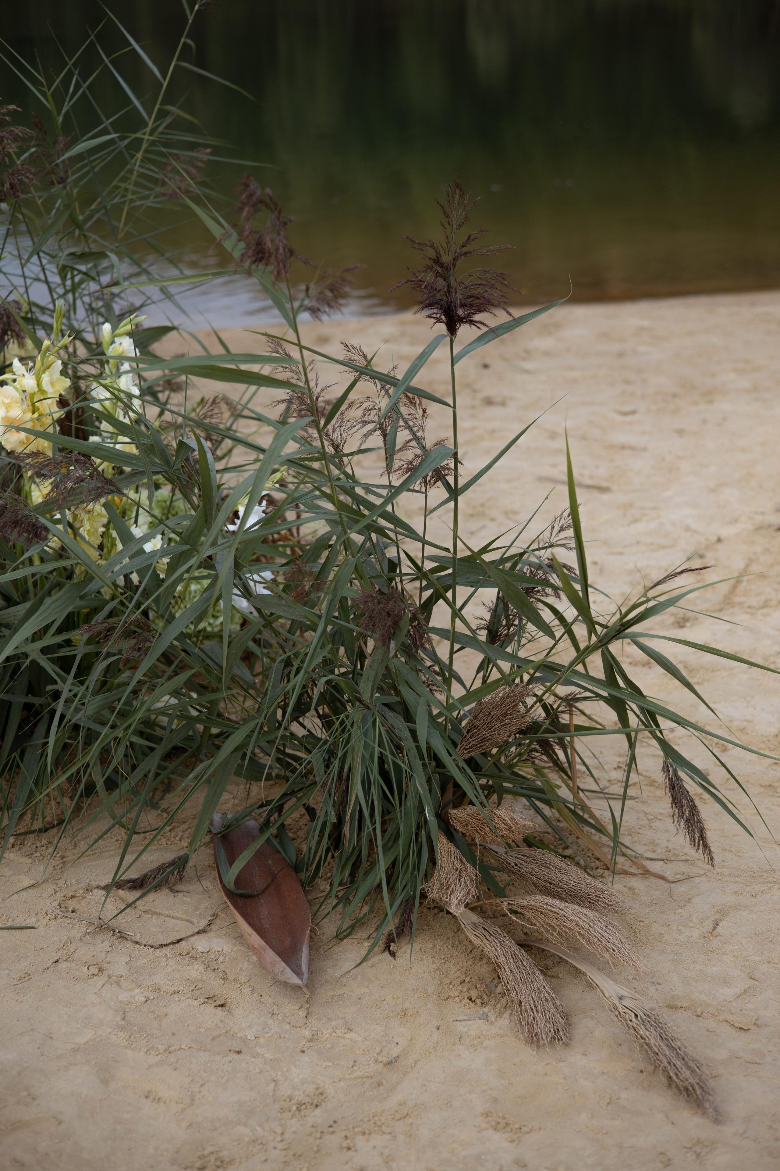 Пляж. Оформление свадеб, декор свадеб Вера Маркова, Москва