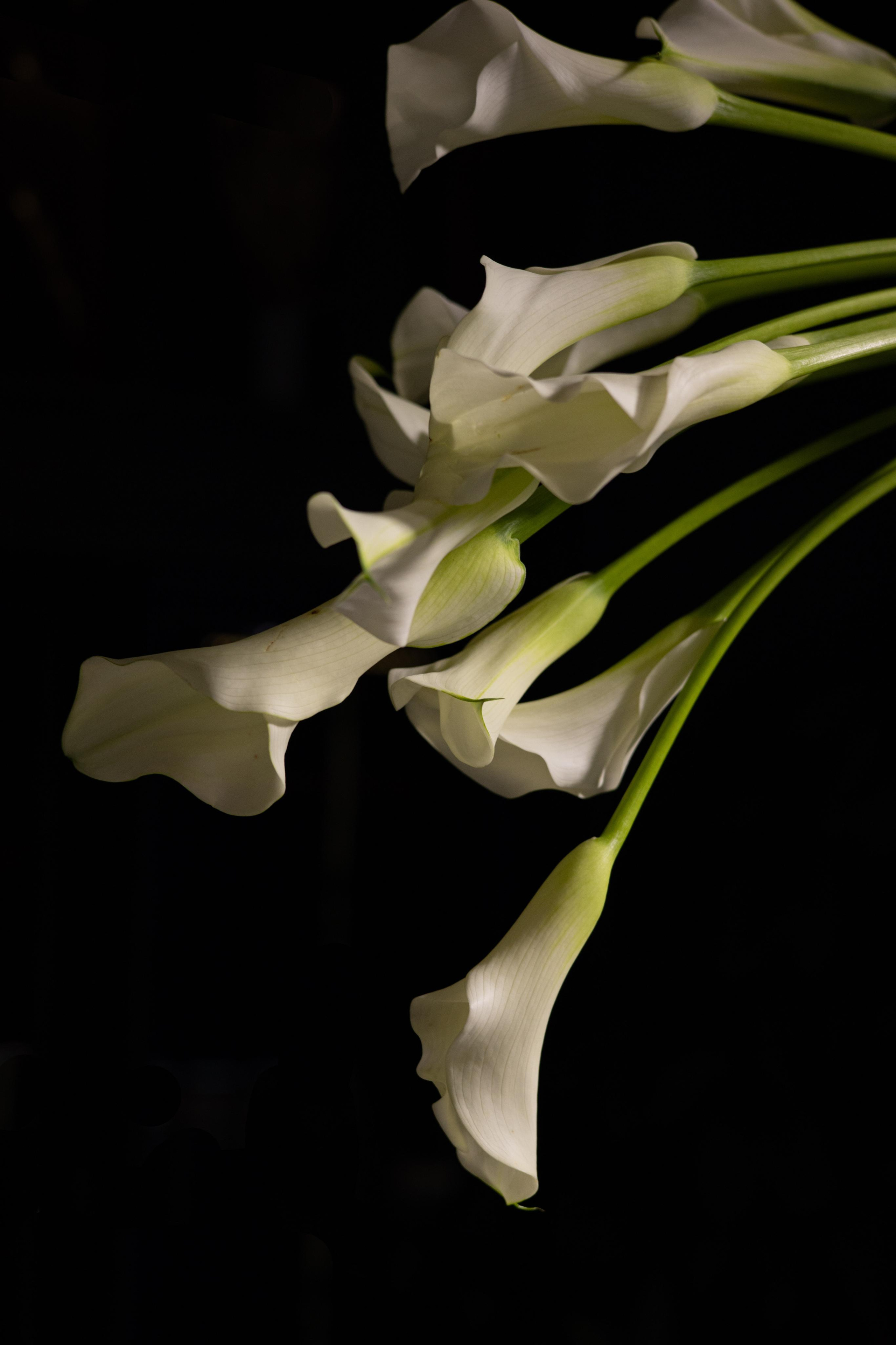 Лера & Алексей. Ресторан «TOUCH». Оформление свадеб, декор свадеб Вера Маркова, Москва