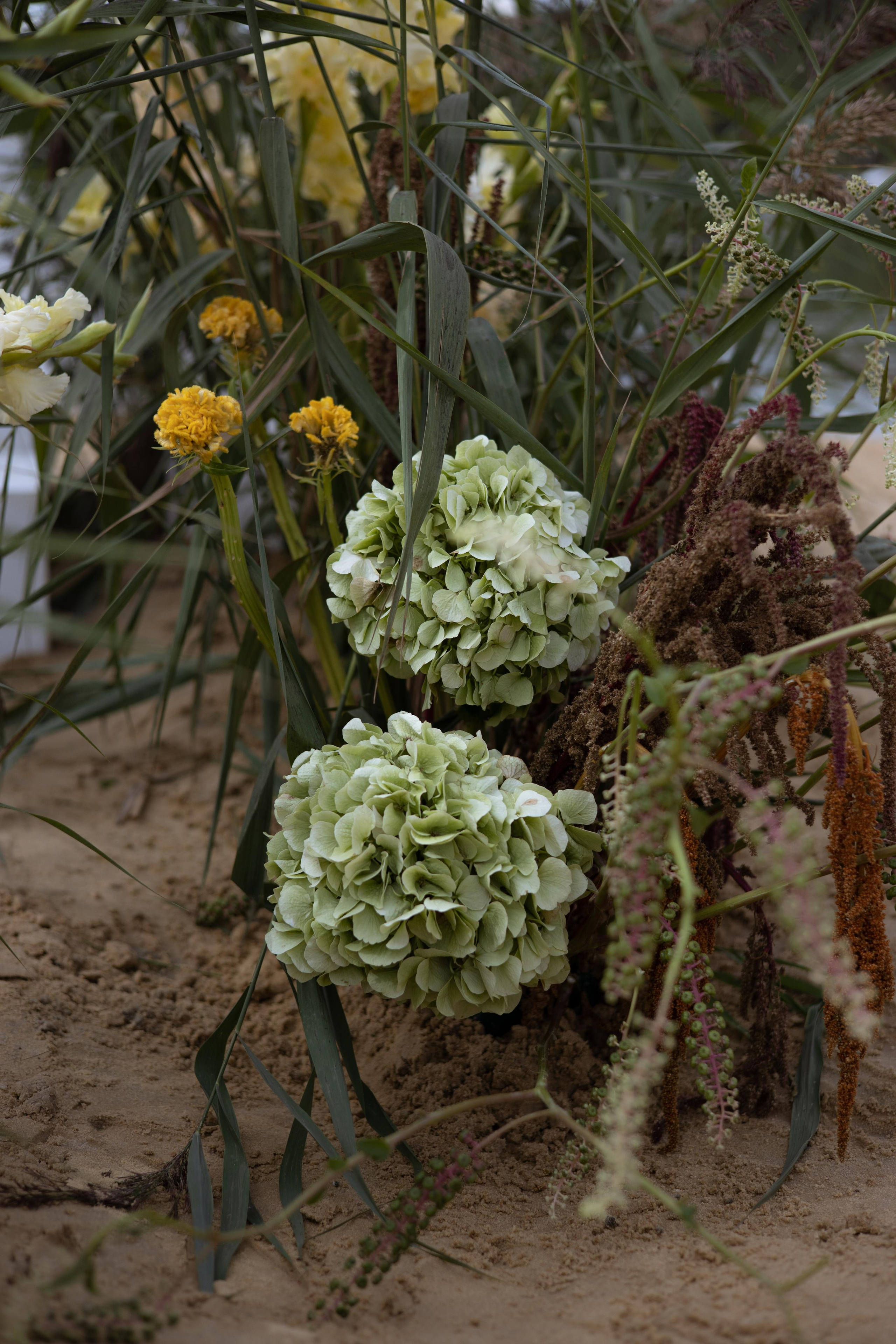 Пляж. Оформление свадеб, декор свадеб Вера Маркова, Москва