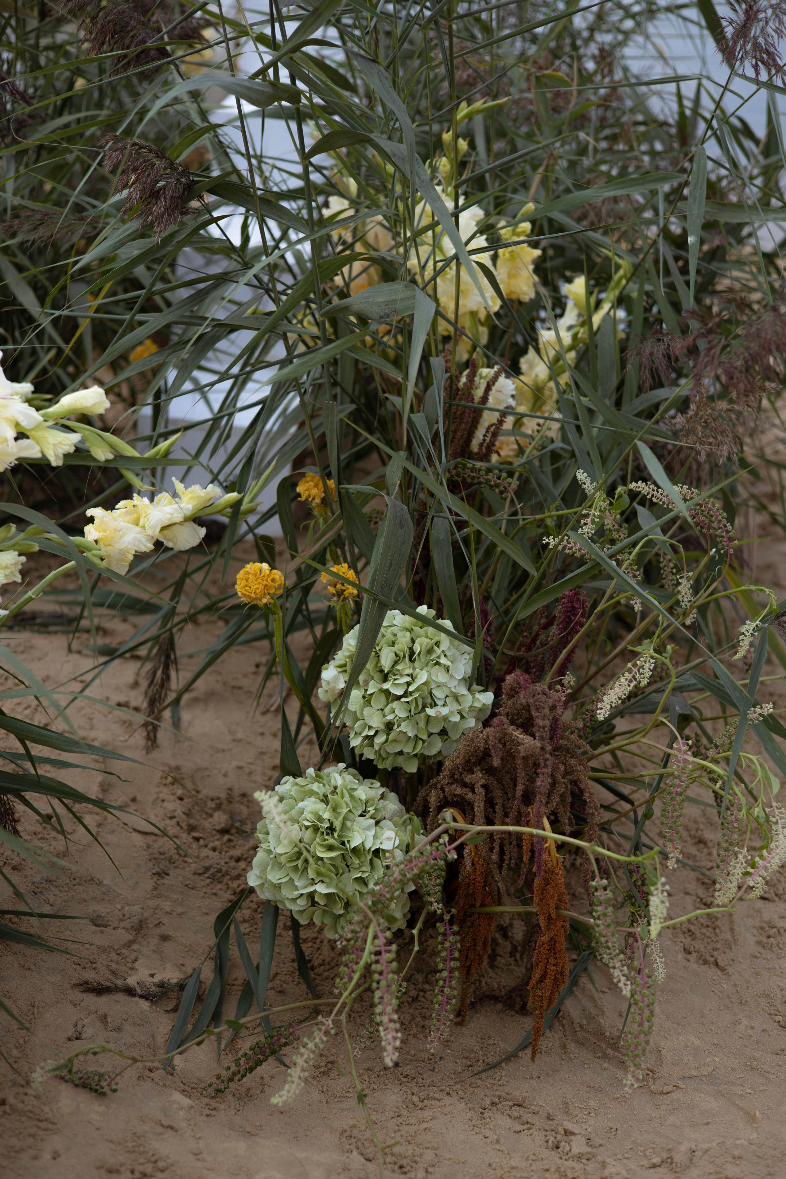 Пляж. Оформление свадеб, декор свадеб Вера Маркова, Москва