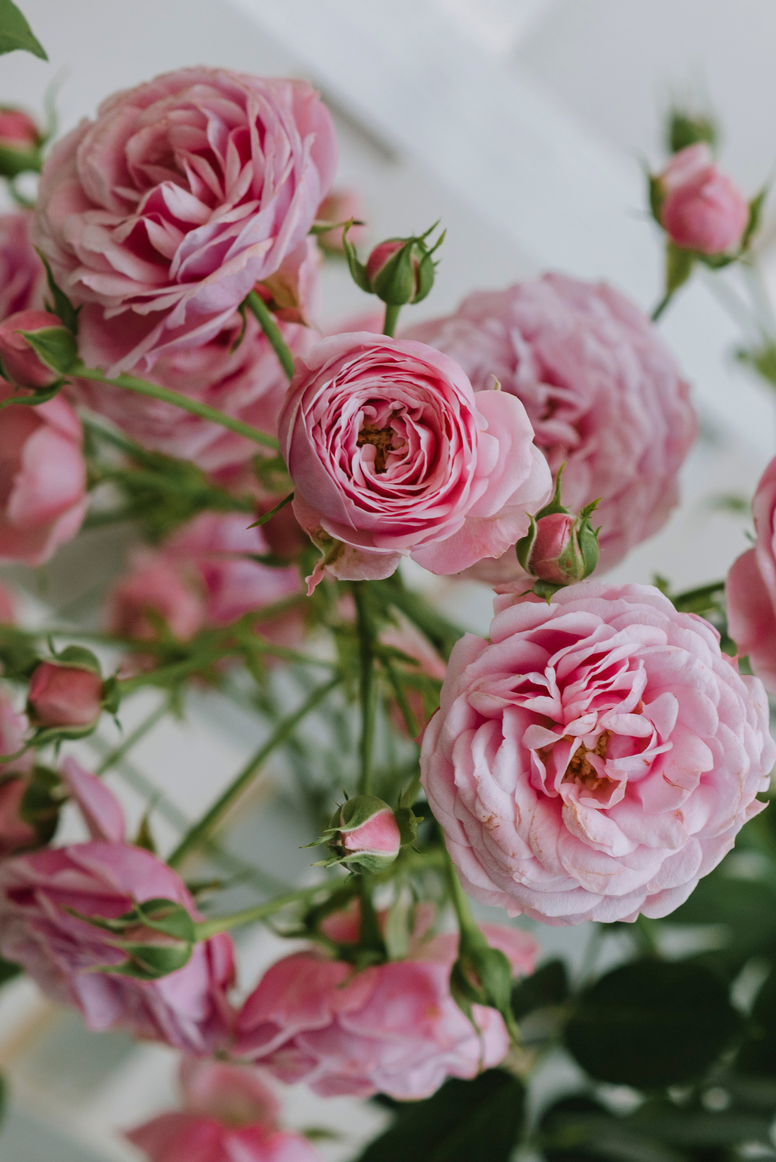 Ресторан Причал. Оформление свадеб, декор свадеб Вера Маркова, Москва