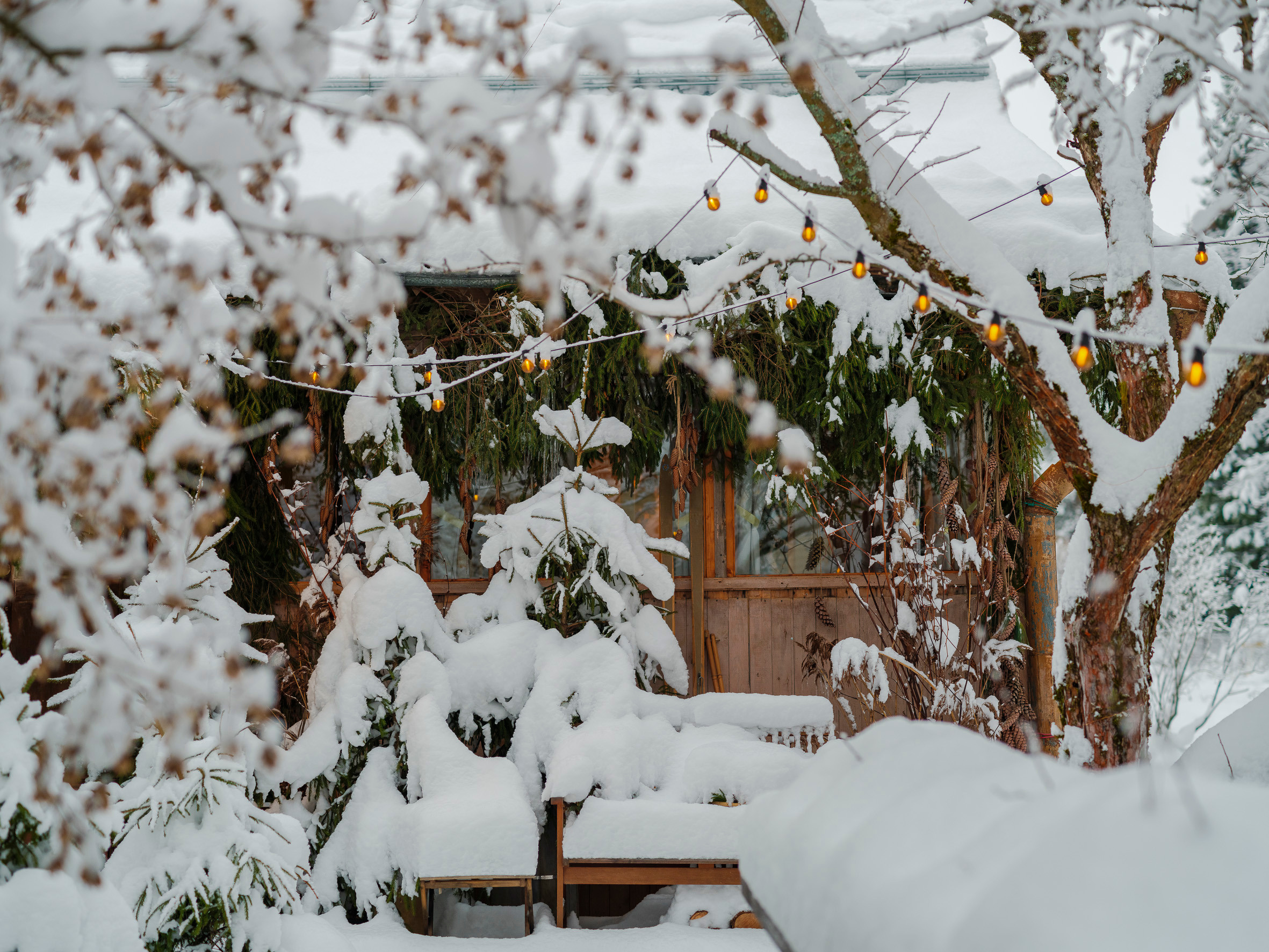 Новогодний декор. Дача. Оформление свадеб, декор свадеб Вера Маркова, Москва