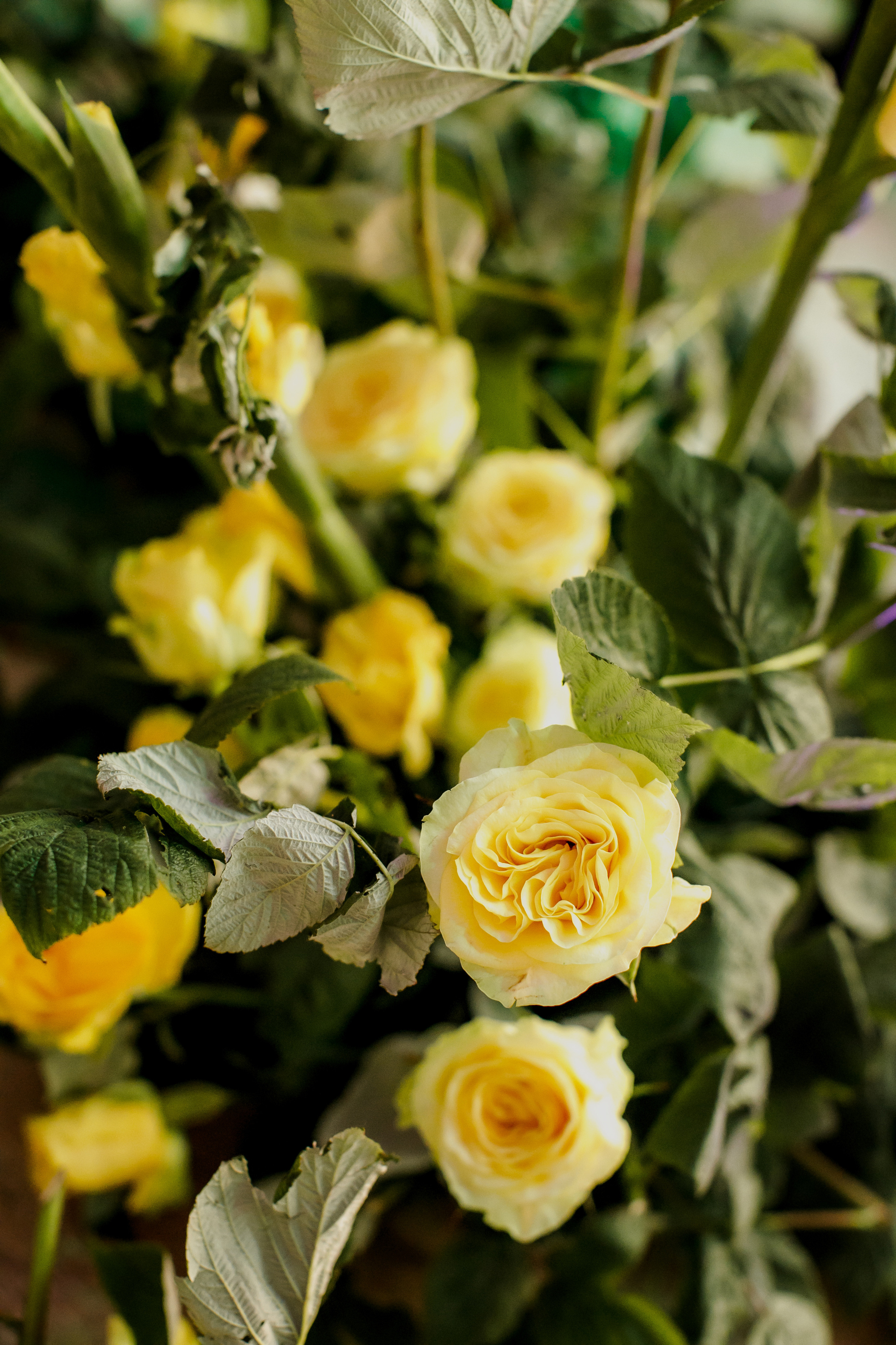 Андрей & Даша. Оформление свадеб, декор свадеб Вера Маркова, Москва