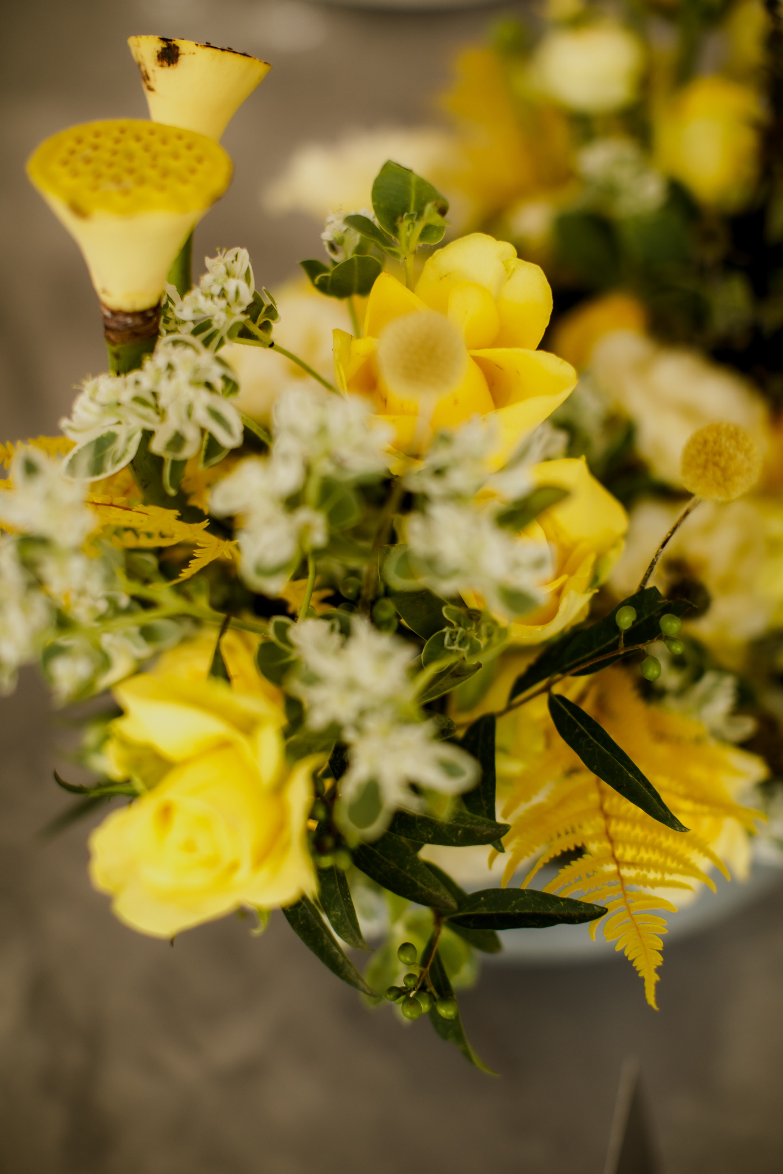 Андрей & Даша. Оформление свадеб, декор свадеб Вера Маркова, Москва