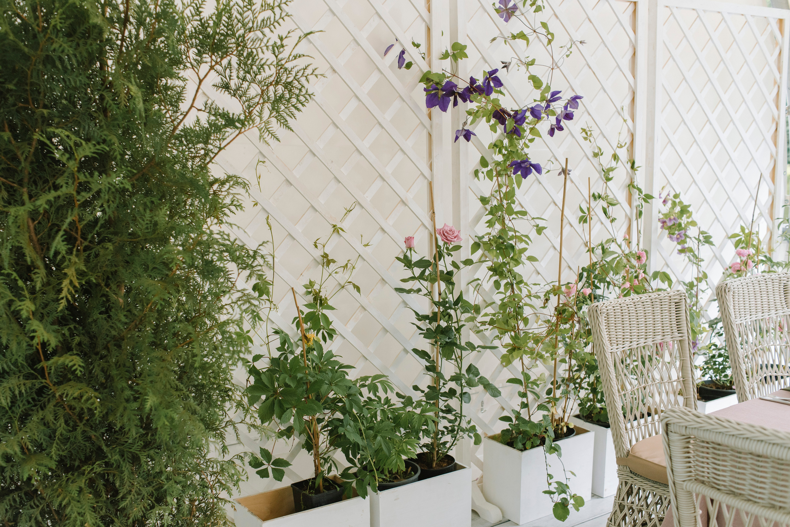 Ресторан Причал. Оформление свадеб, декор свадеб Вера Маркова, Москва