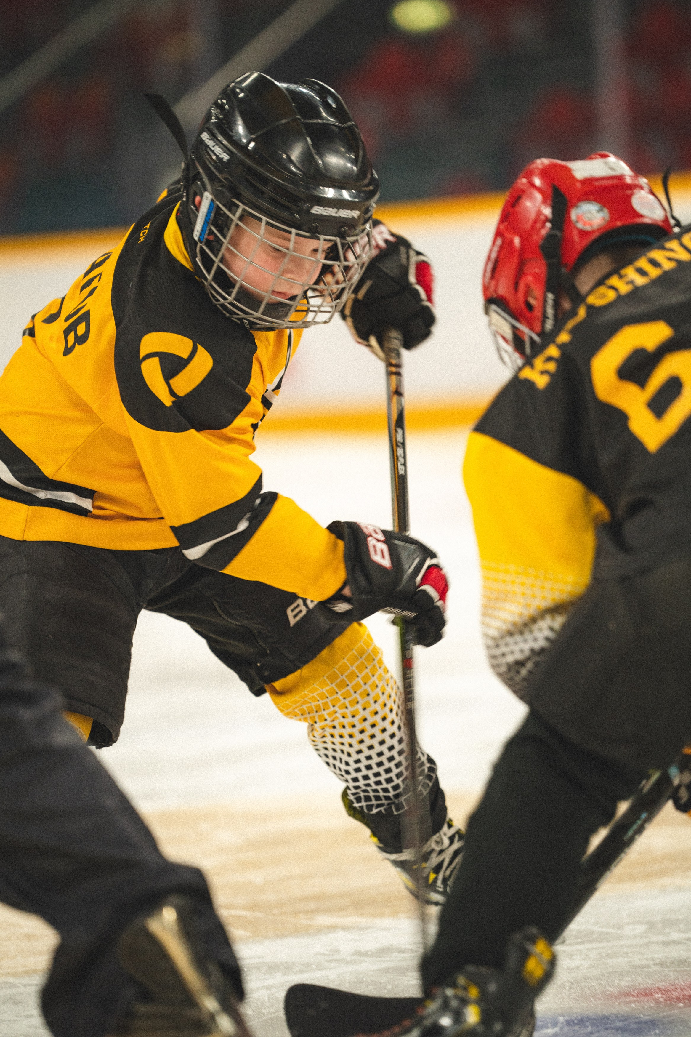 ХК Северсталь (младшая группа). Череповец. Zekons. Фото, видео, нейросети