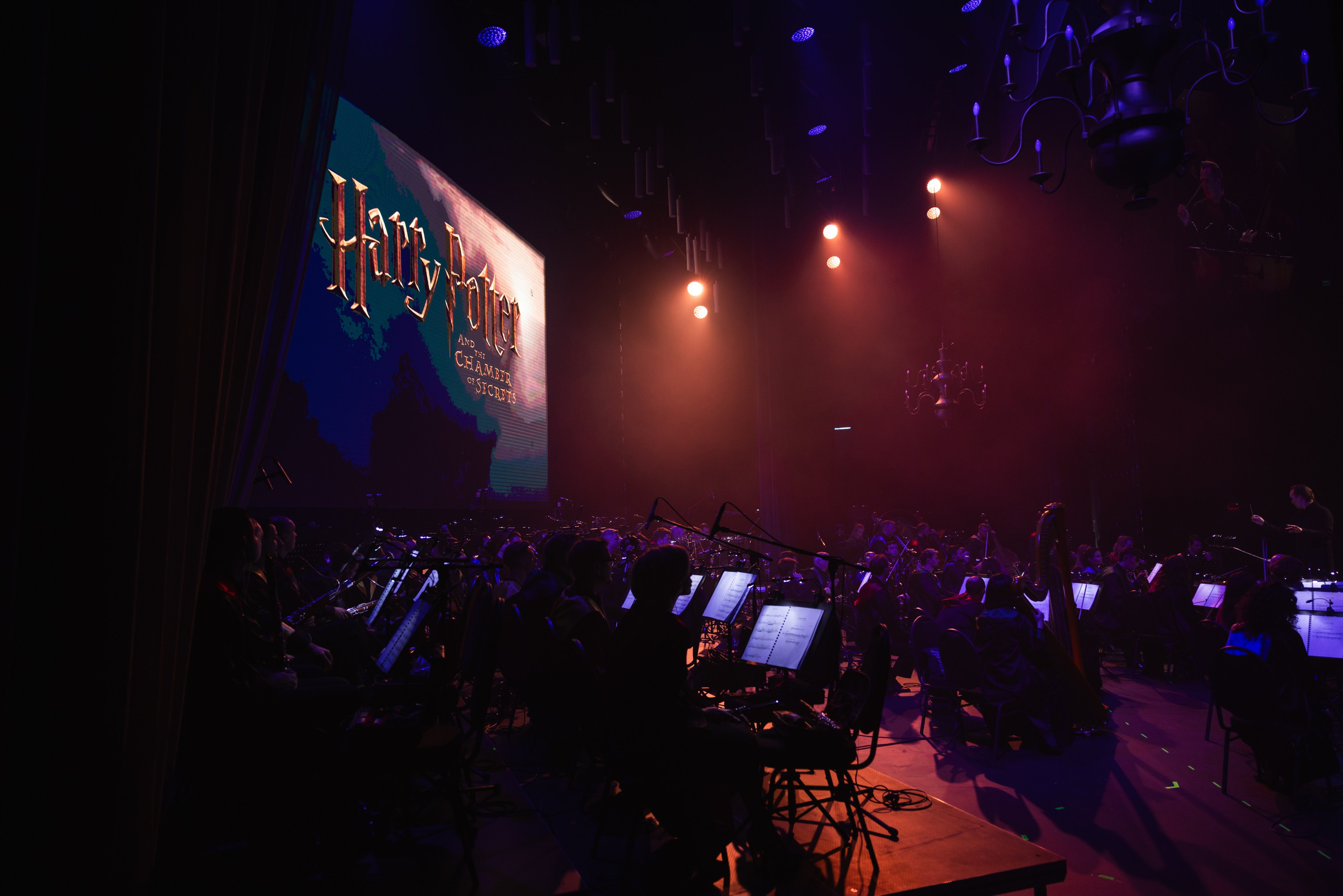 Новый год в Хогвартсе. Свадебный и семейный фотограф в Москве и Московской области Оксана Шлыкова