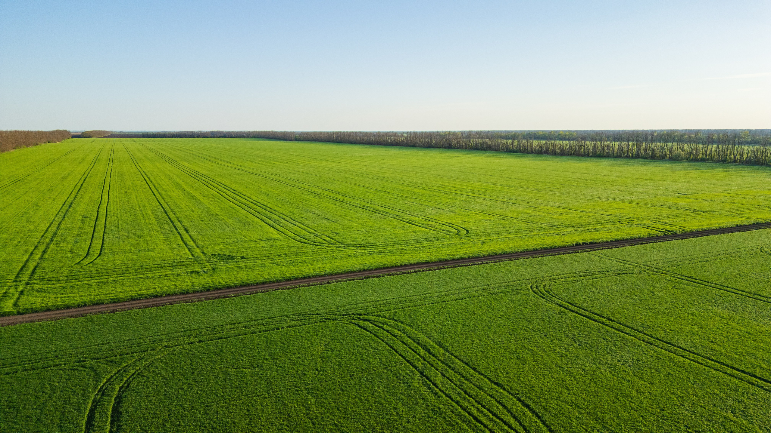 Проекты. Профессиональный фотограф Вячеслав Плацында | Липецк |