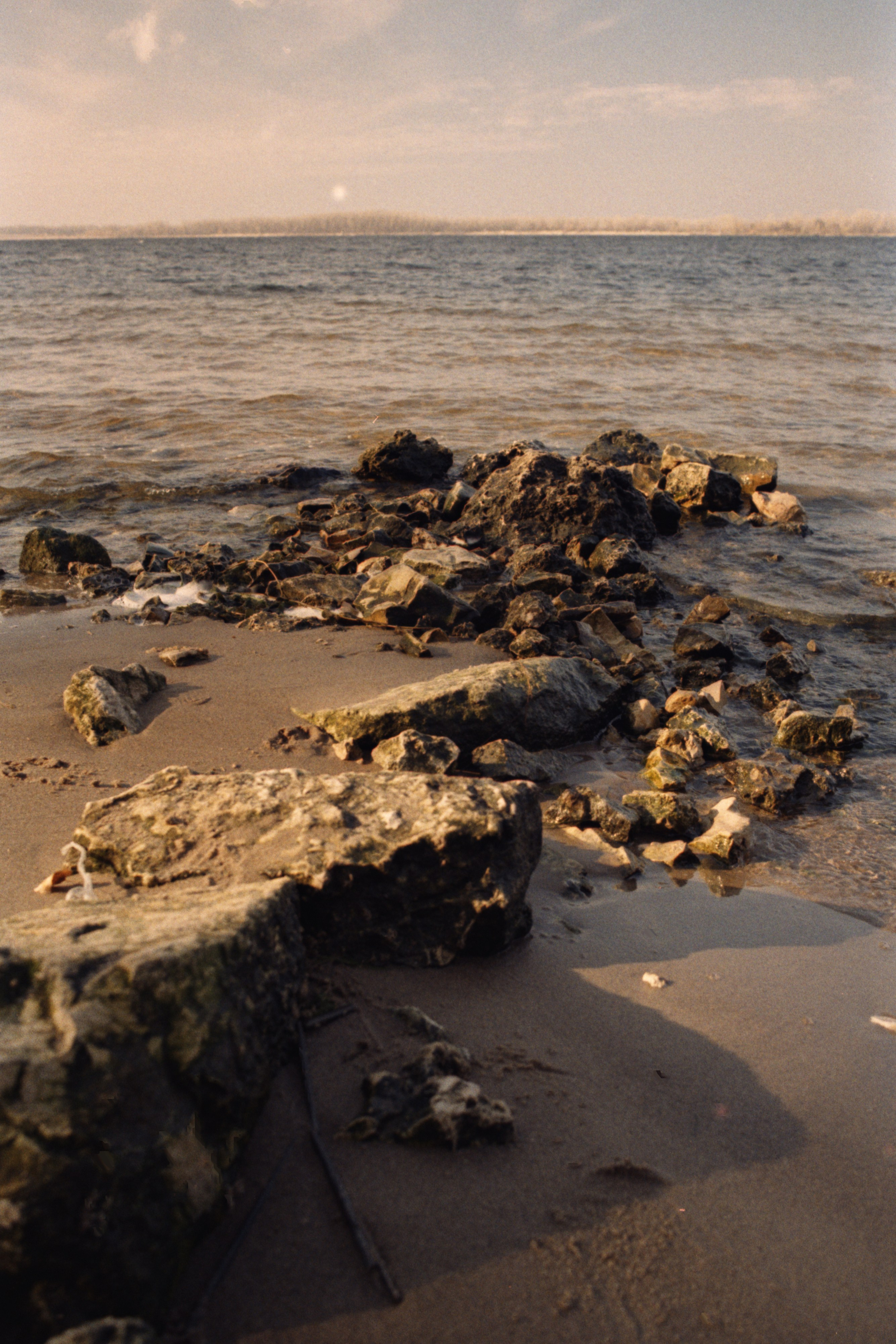 Пленочная история. Дмитрий Пропадалин, Нейрофотография