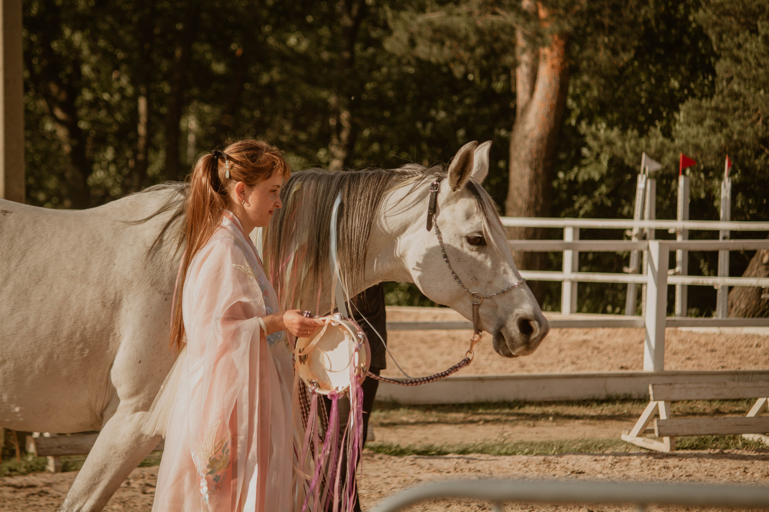 ИППОСФЕРА — Международная конная выставка. Создадим шедевр? Виталина и её фотоискусство