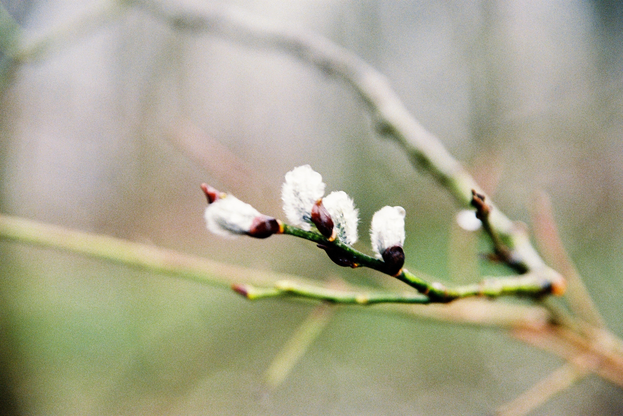 Film. Ruslan UI Dev Page