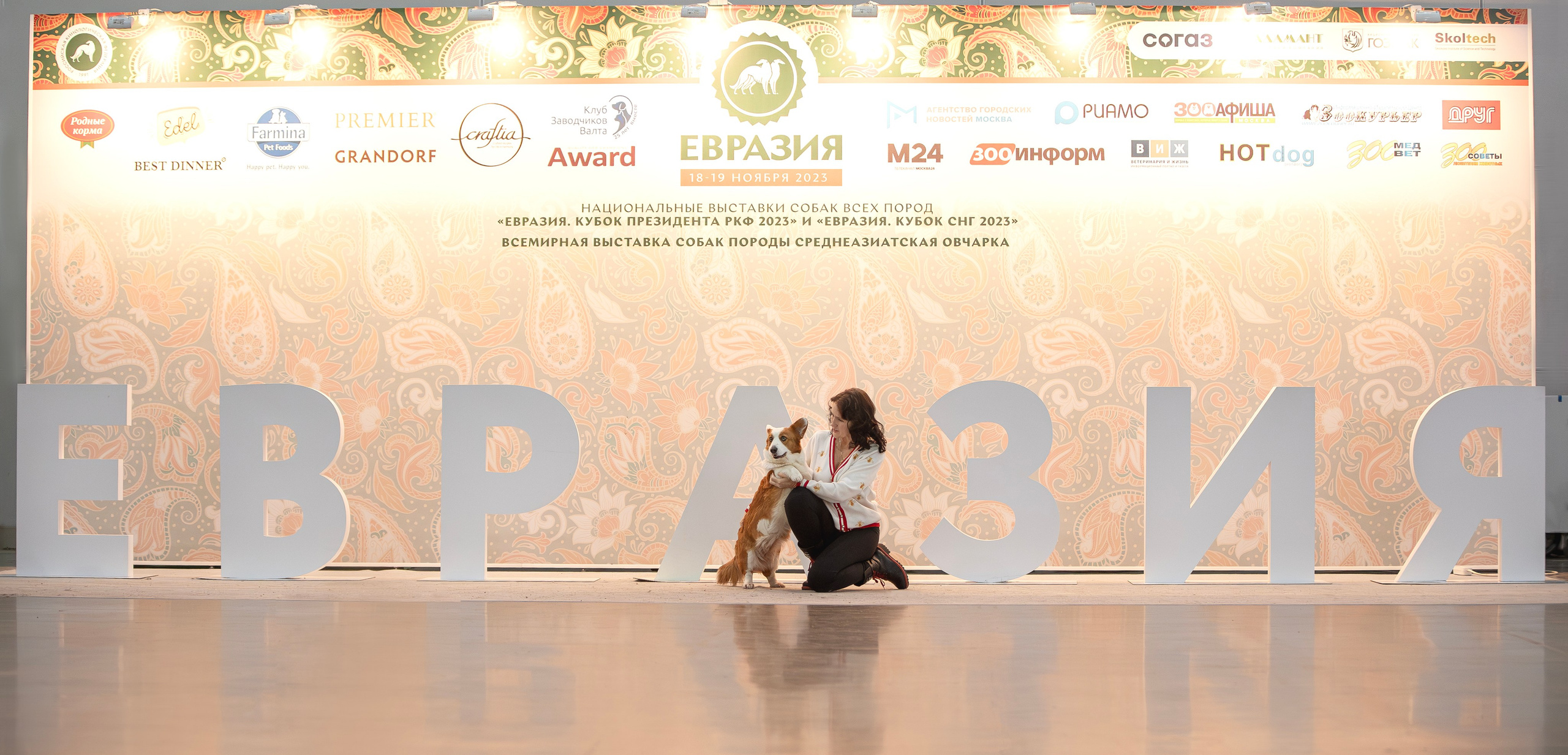 Выставки. Фотограф анималист в Москве Майорова Евгения