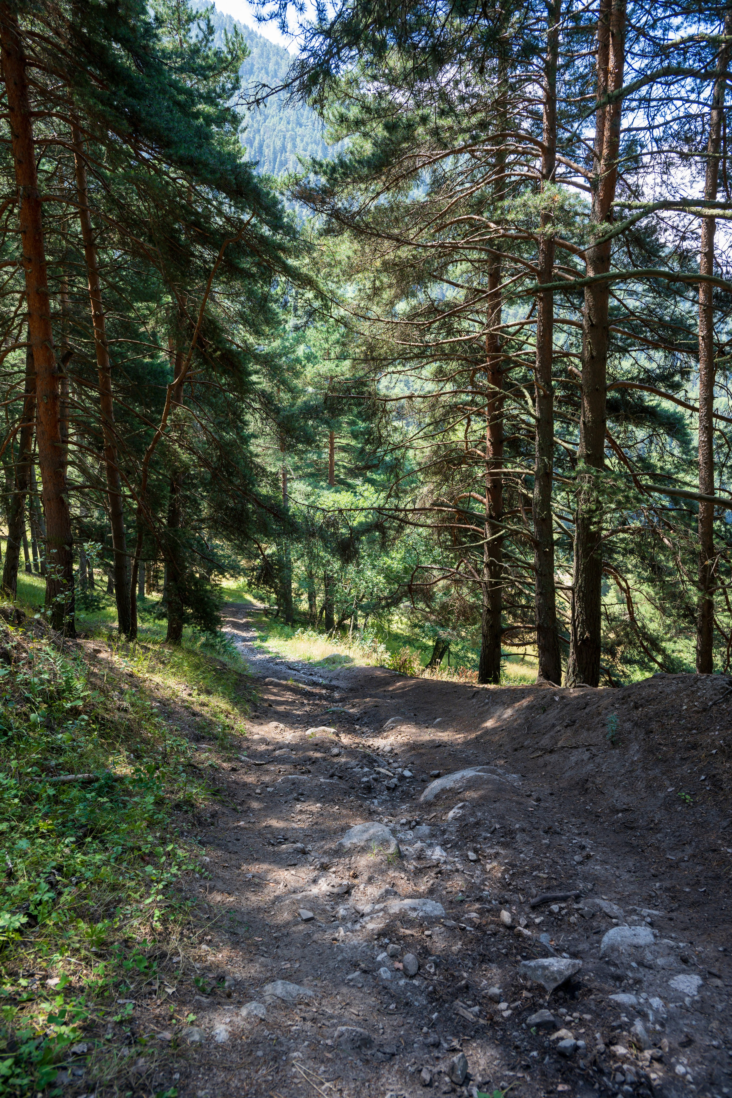 Экспедиция 2025