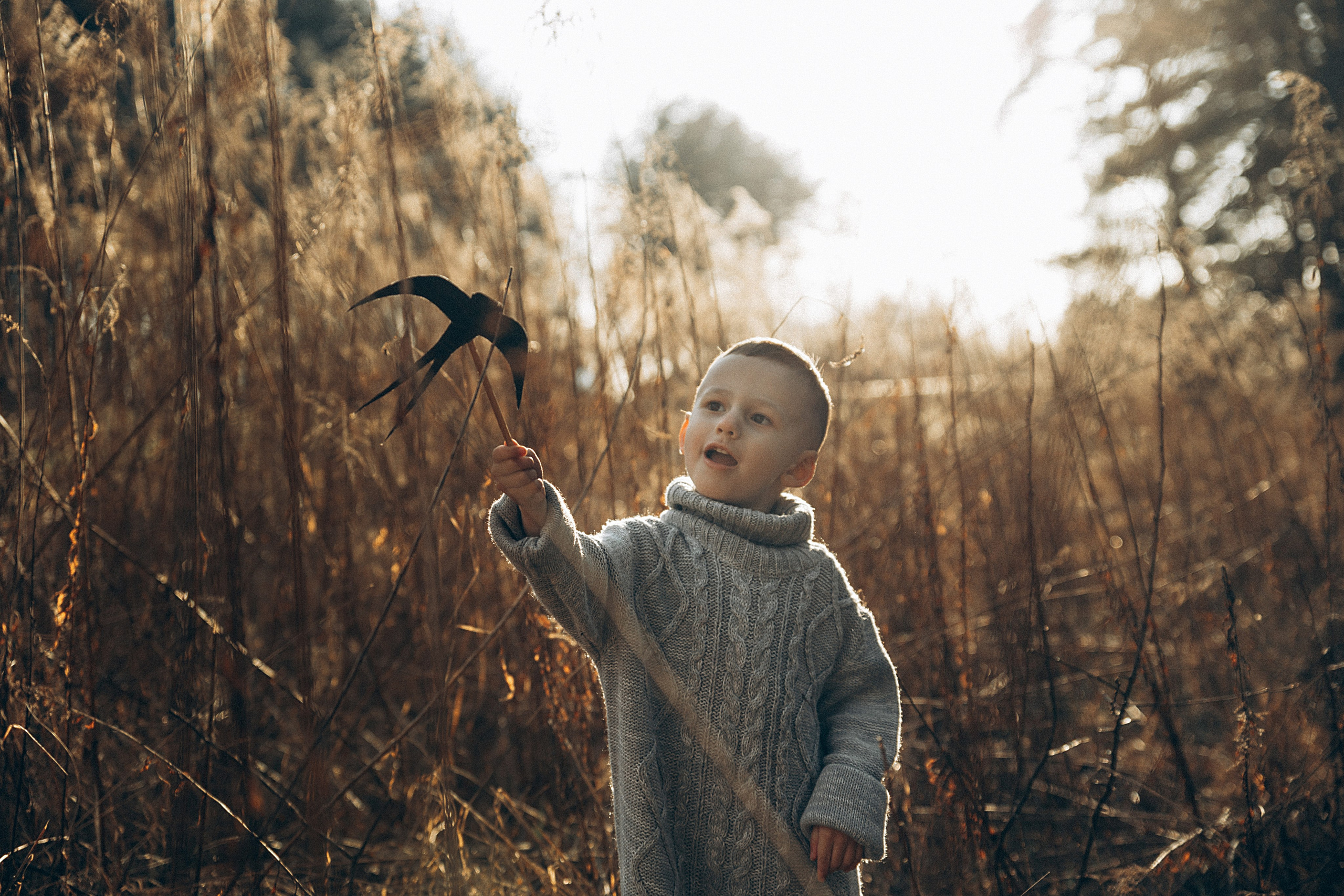 Птицы-самолеты. Репортажный и детский фотограф в Минске