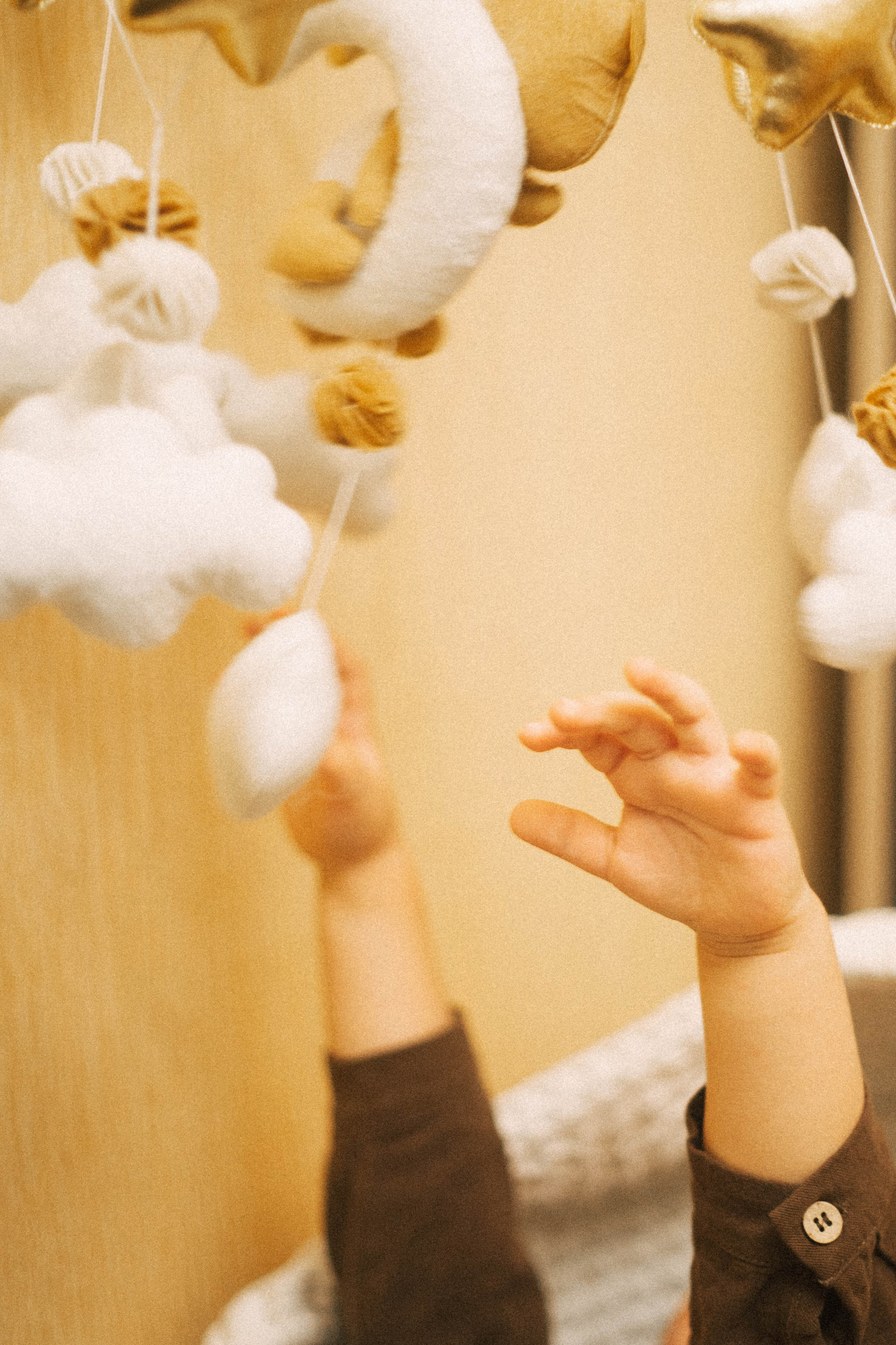 Выписка Сева, Сехран, Мурад, Имран. Семейный фотограф Юлия Котова