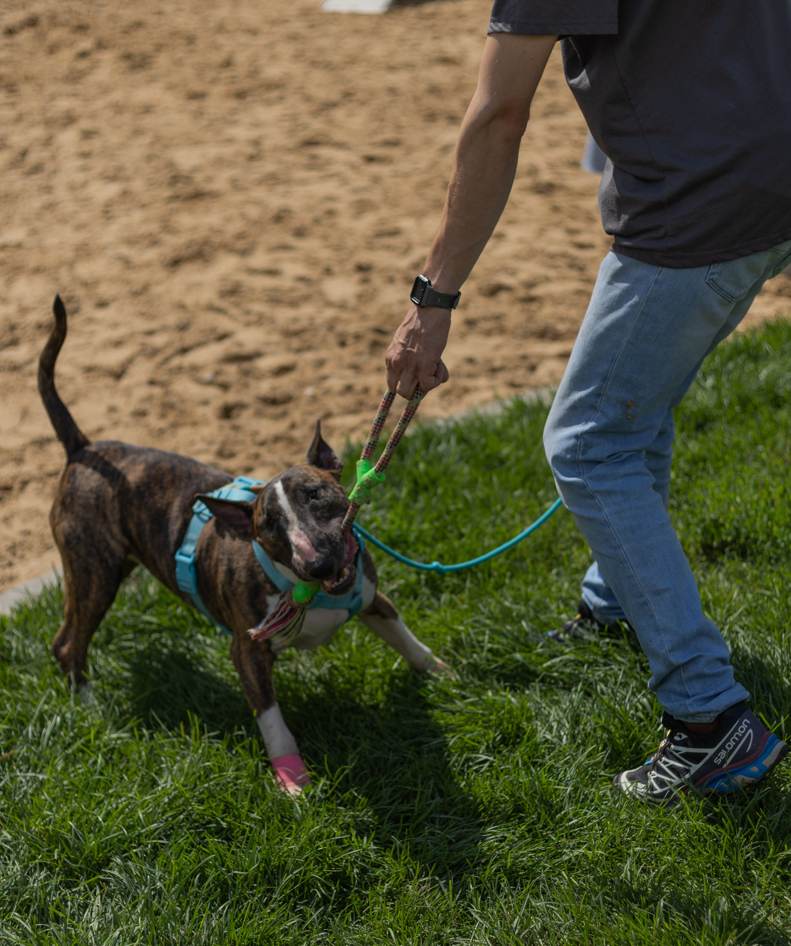 With pets. Фотограф Карина Соболева