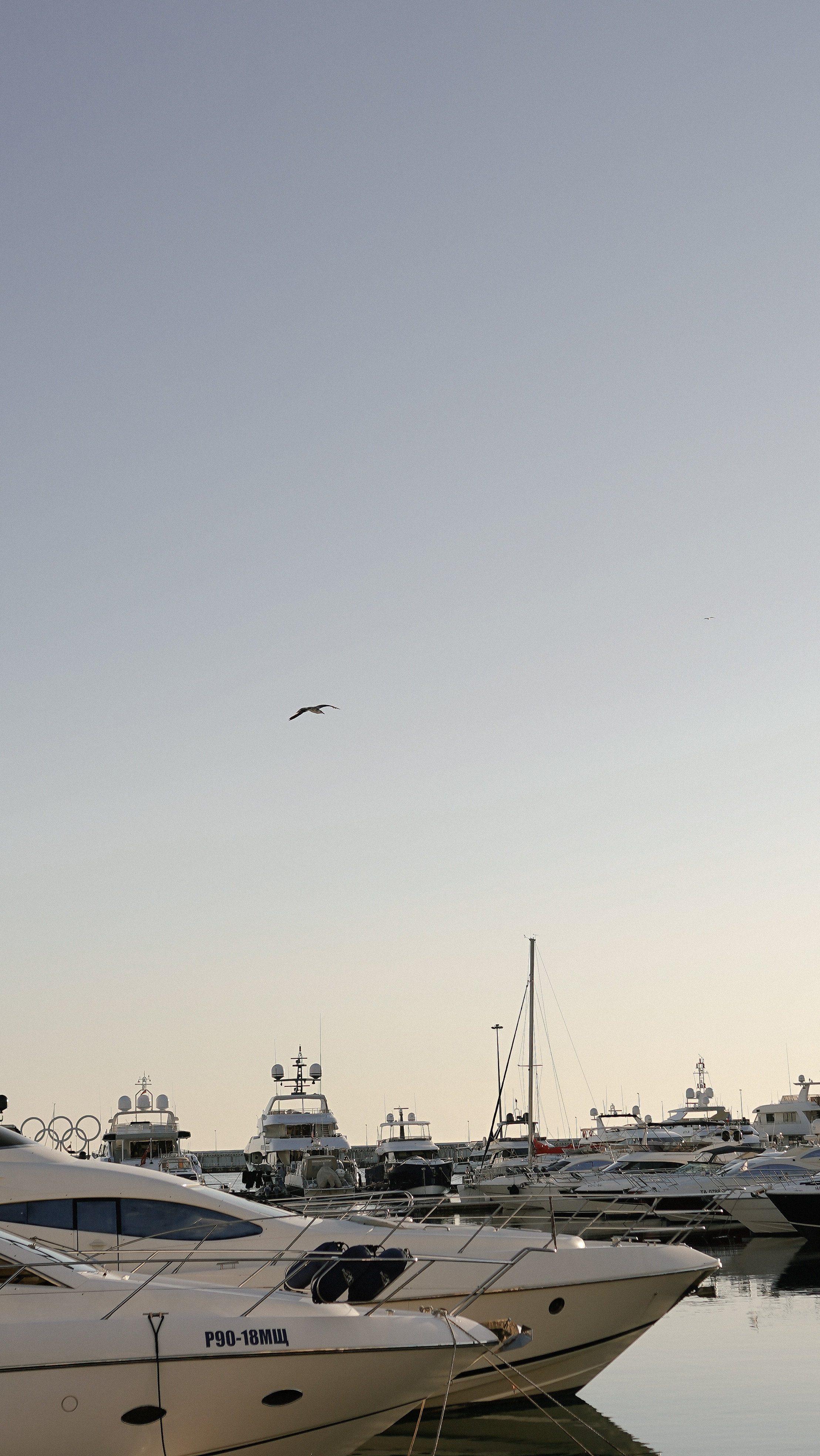 Морской порт. Милана Довгаль - семейный фотограф и видеограф  в Адлере и Сочи