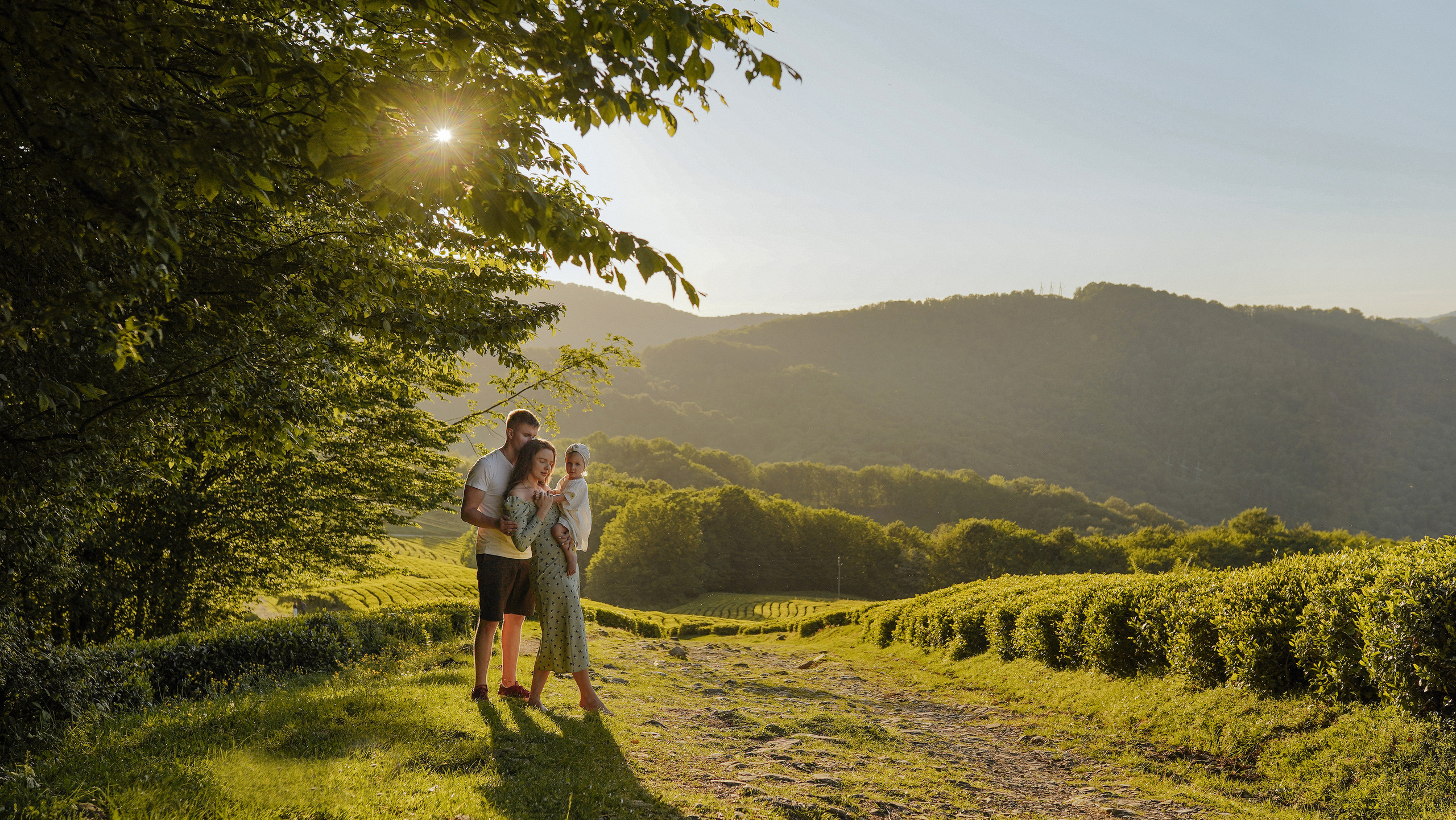 Чайные плантации. Милана Довгаль - семейный фотограф и видеограф  в Адлере и Сочи