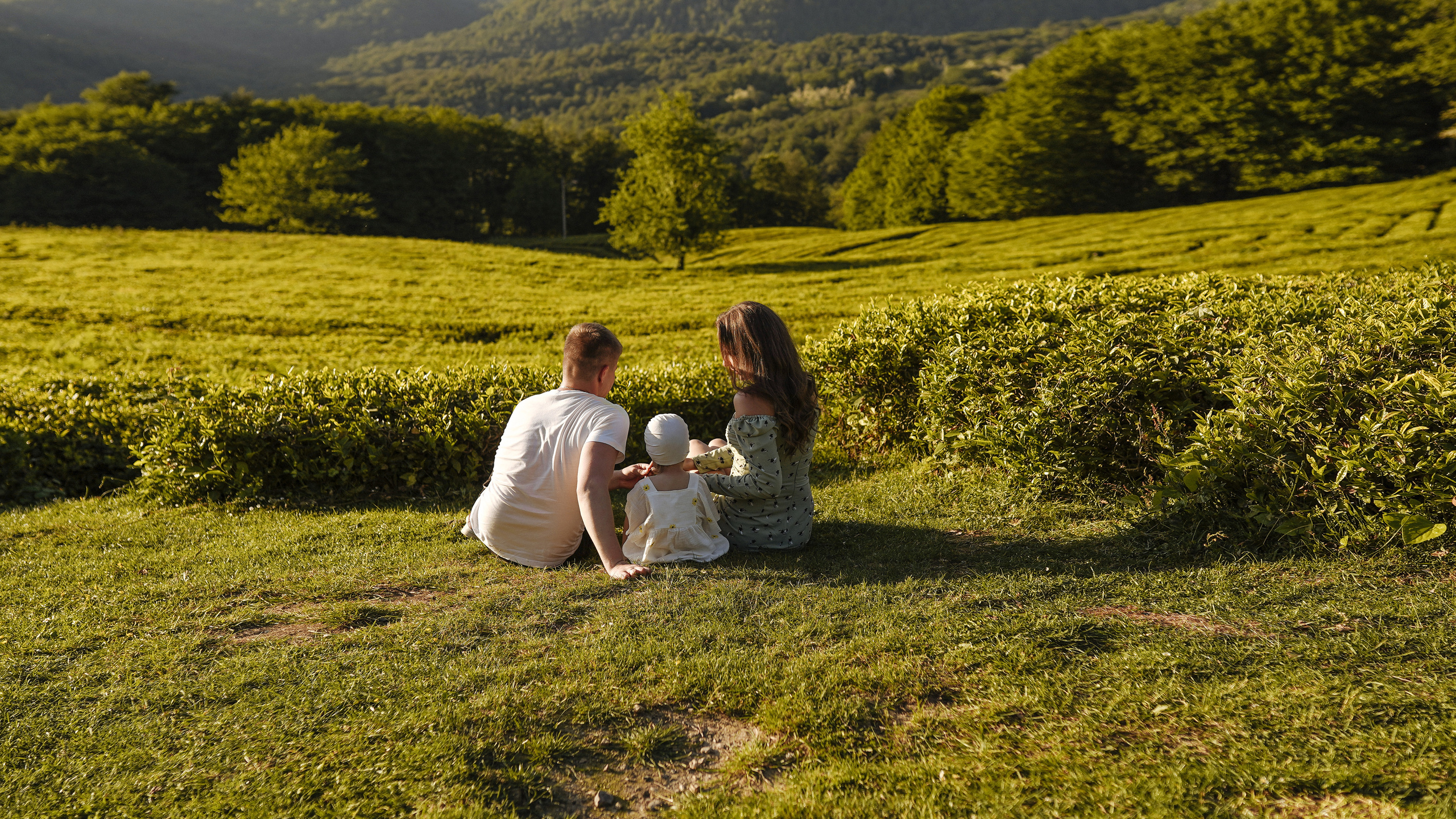 Чайные плантации. Милана Довгаль - семейный фотограф и видеограф  в Адлере и Сочи